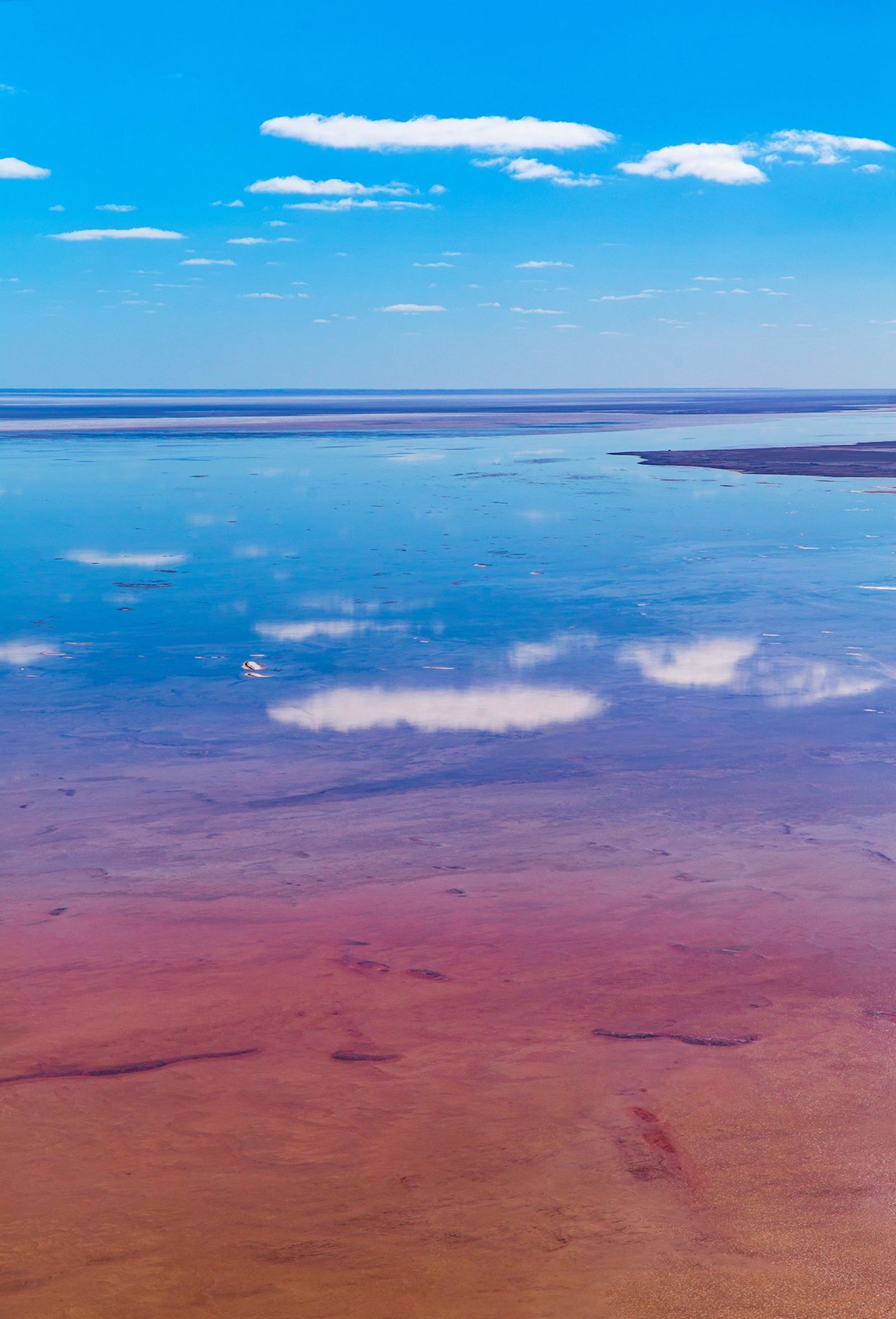 Eyre Lake, Water returns, Natural phenomenon, Geographical wonder, 1440x2120 HD Phone