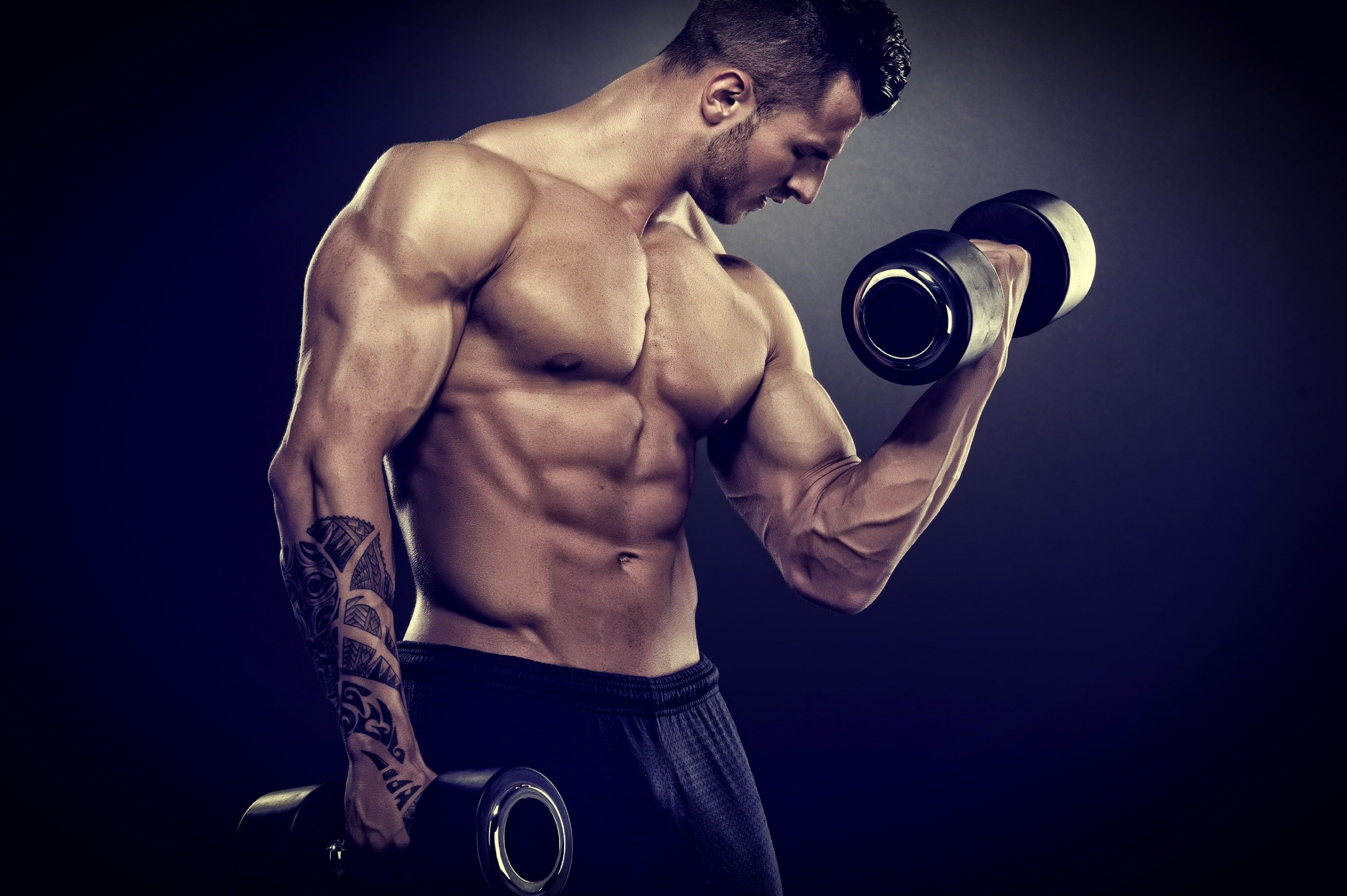 Muscular male bodybuilder, Bicep dumbbell curl, Forearm tribal tattoo, HD Desktop wallpaper