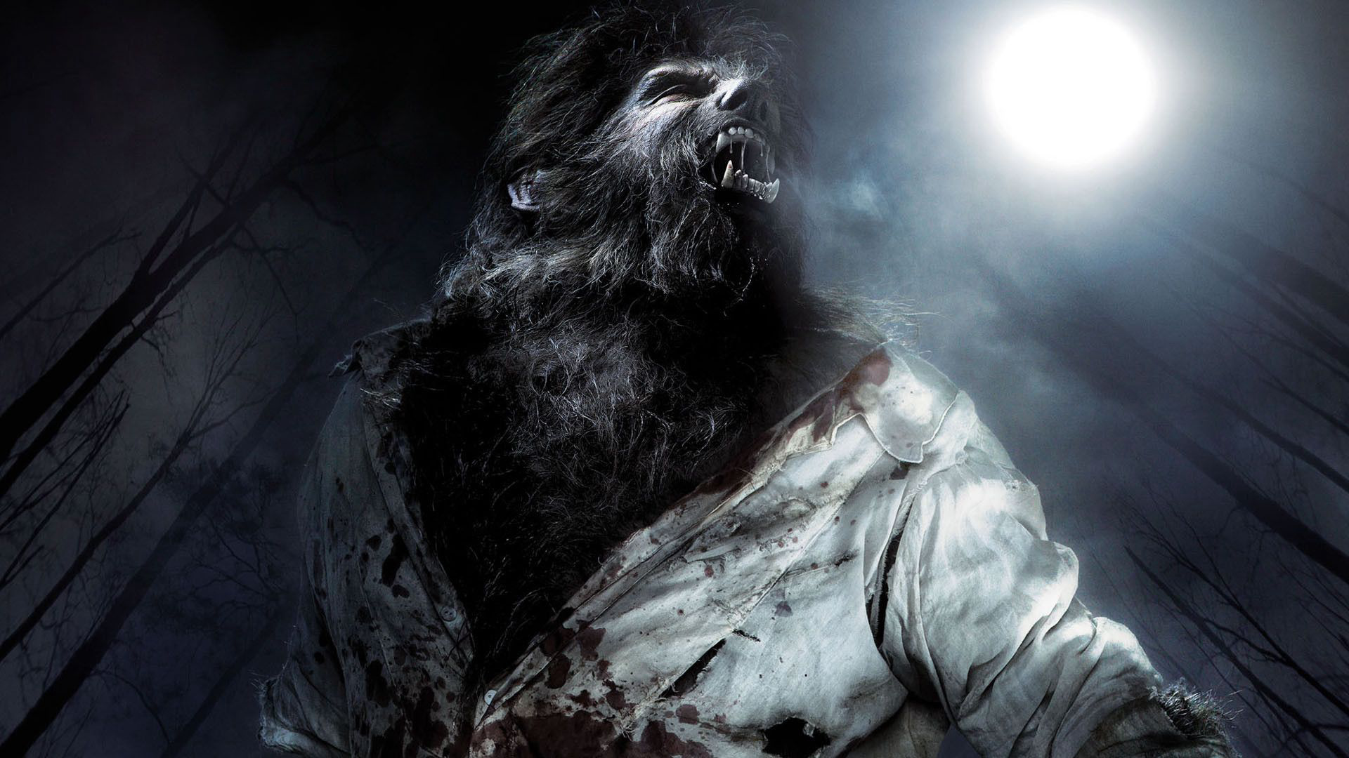 The Wolf Man, Werewolf Wallpaper, 1920x1080 Full HD Desktop