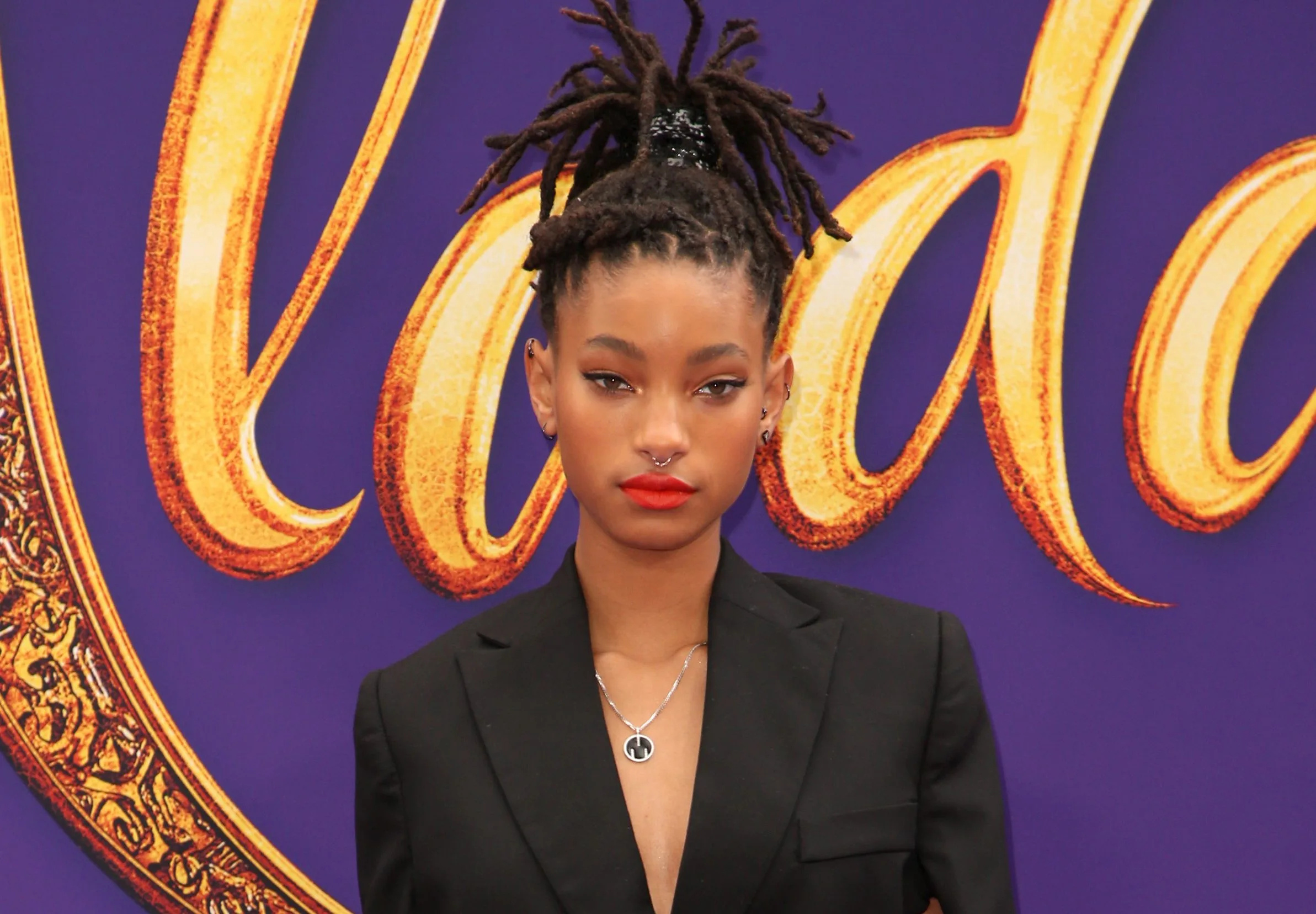 Willow Smith, Potential director, Adult film industry, Surprising interest, 2390x1660 HD Desktop