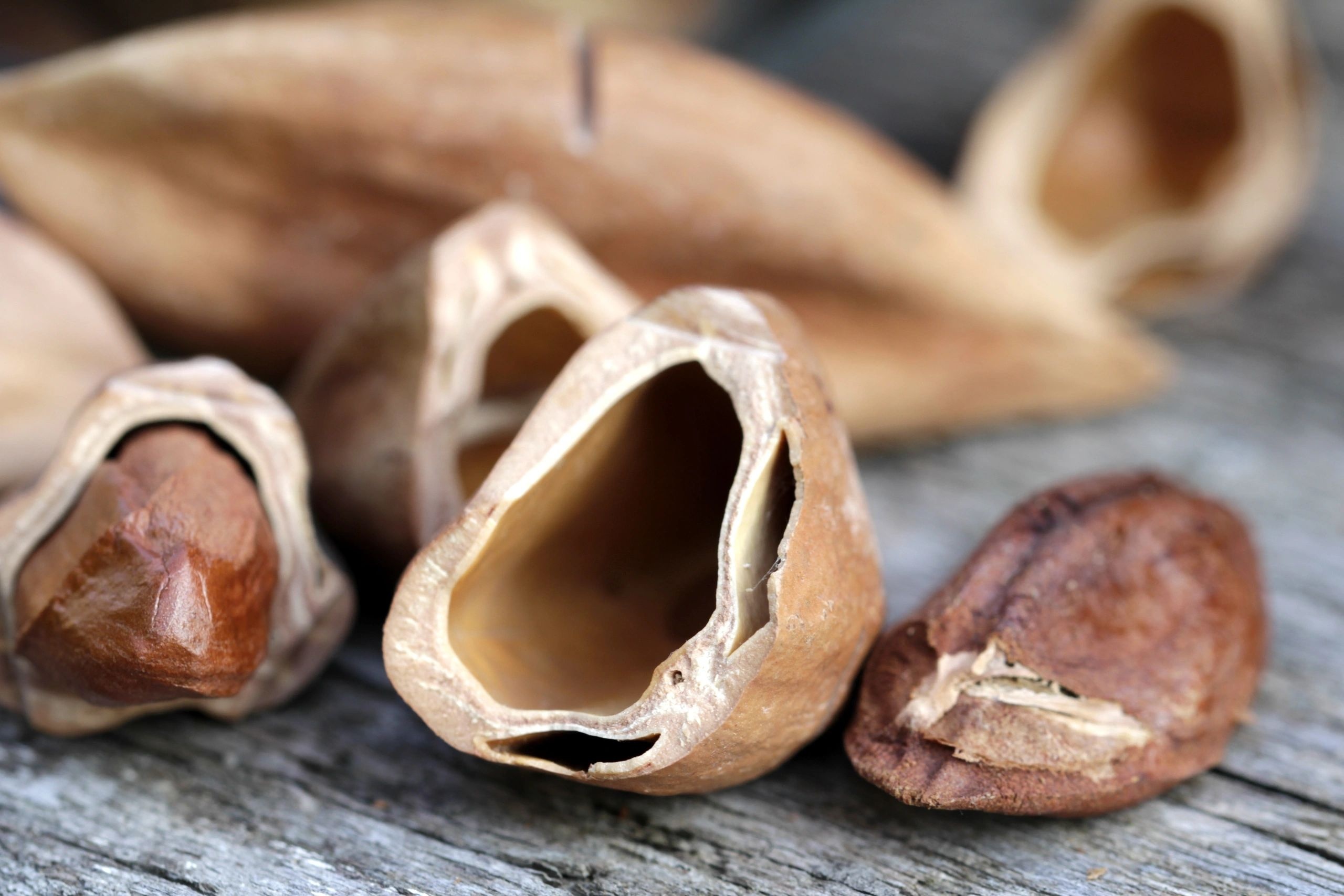 Pili nut products, Nut lover's paradise, Gourmet selections, Exquisite flavors, 2560x1710 HD Desktop
