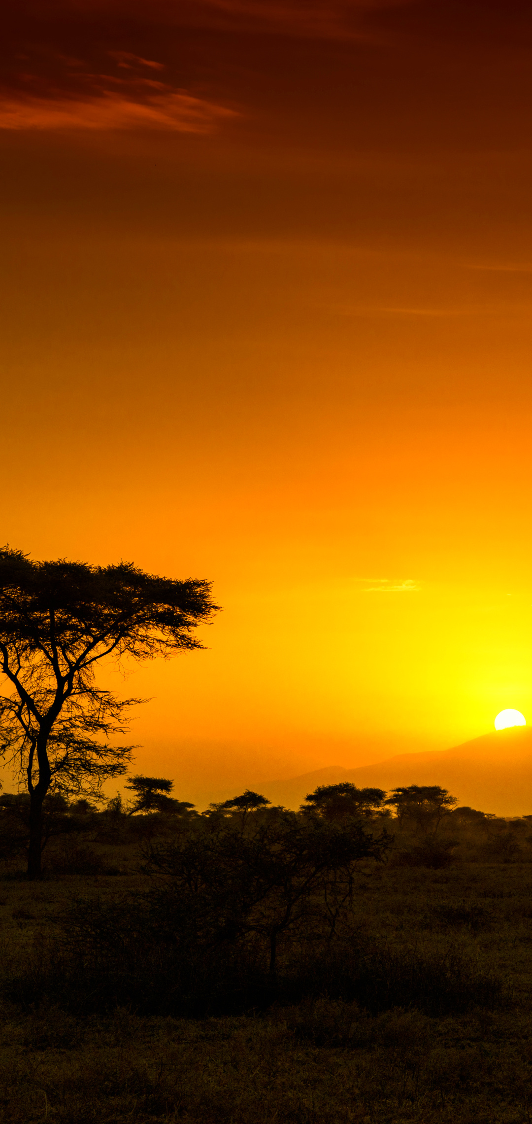 Africa, Earth sunrise, Natural beauty, 1080x2280 HD Phone