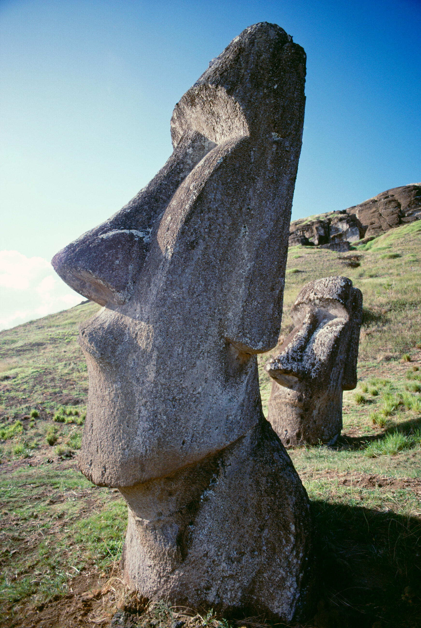 Easter Island moai, Stone statues, Cultural treasures, Impressive craftsmanship, 1750x2600 HD Phone