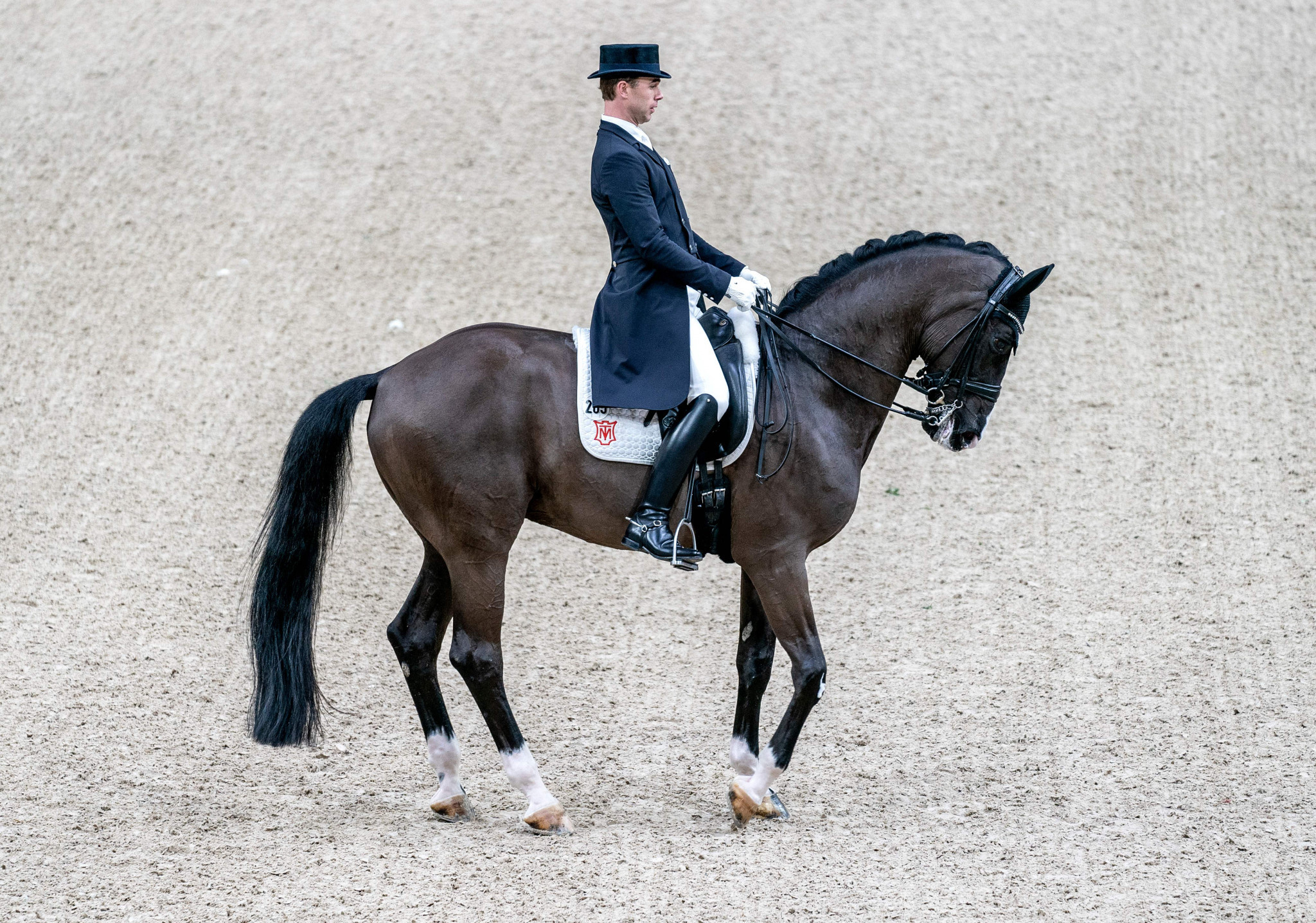 Dressage sports, Dressage riders petition, Allow top hats, Equestrian regulation, 2050x1440 HD Desktop