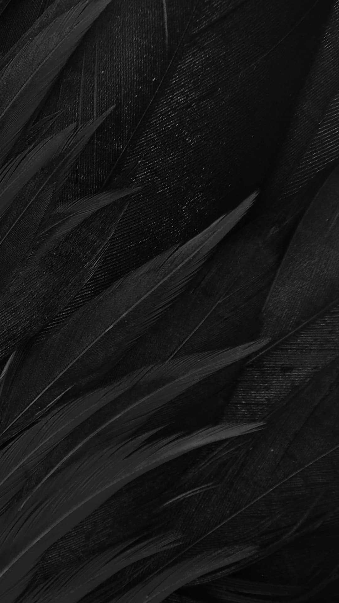 Feathers, Matte Black Wallpaper, 1080x1920 Full HD Phone