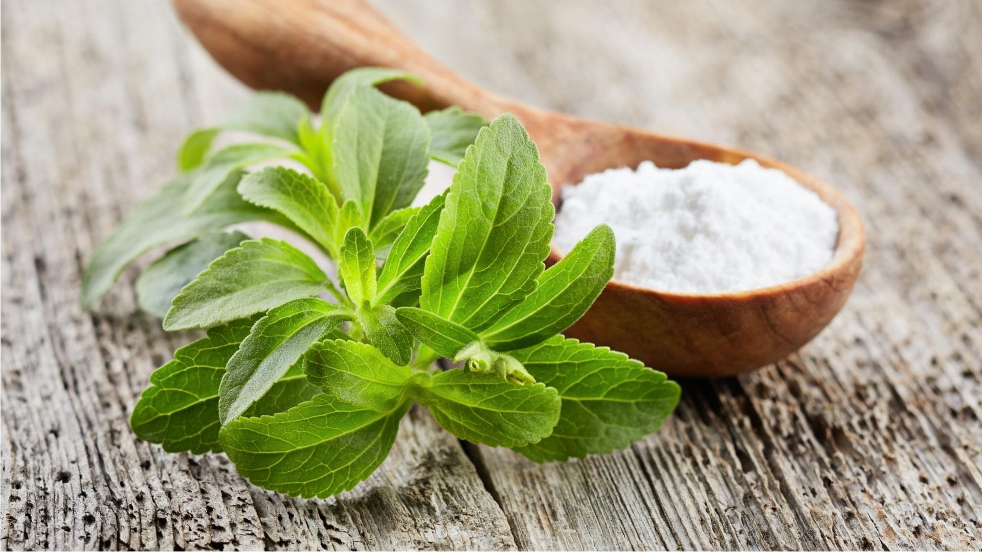 Stevia, Sweetener, Wallpapers, Food, 1920x1080 Full HD Desktop