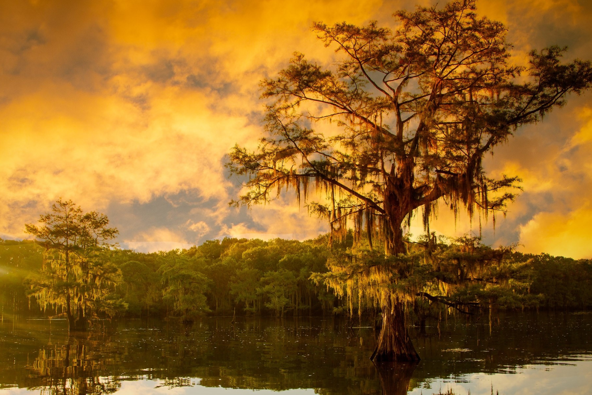 Caddo Lake, Nature photographers, Beautiful scenery, Serene environment, 2000x1340 HD Desktop