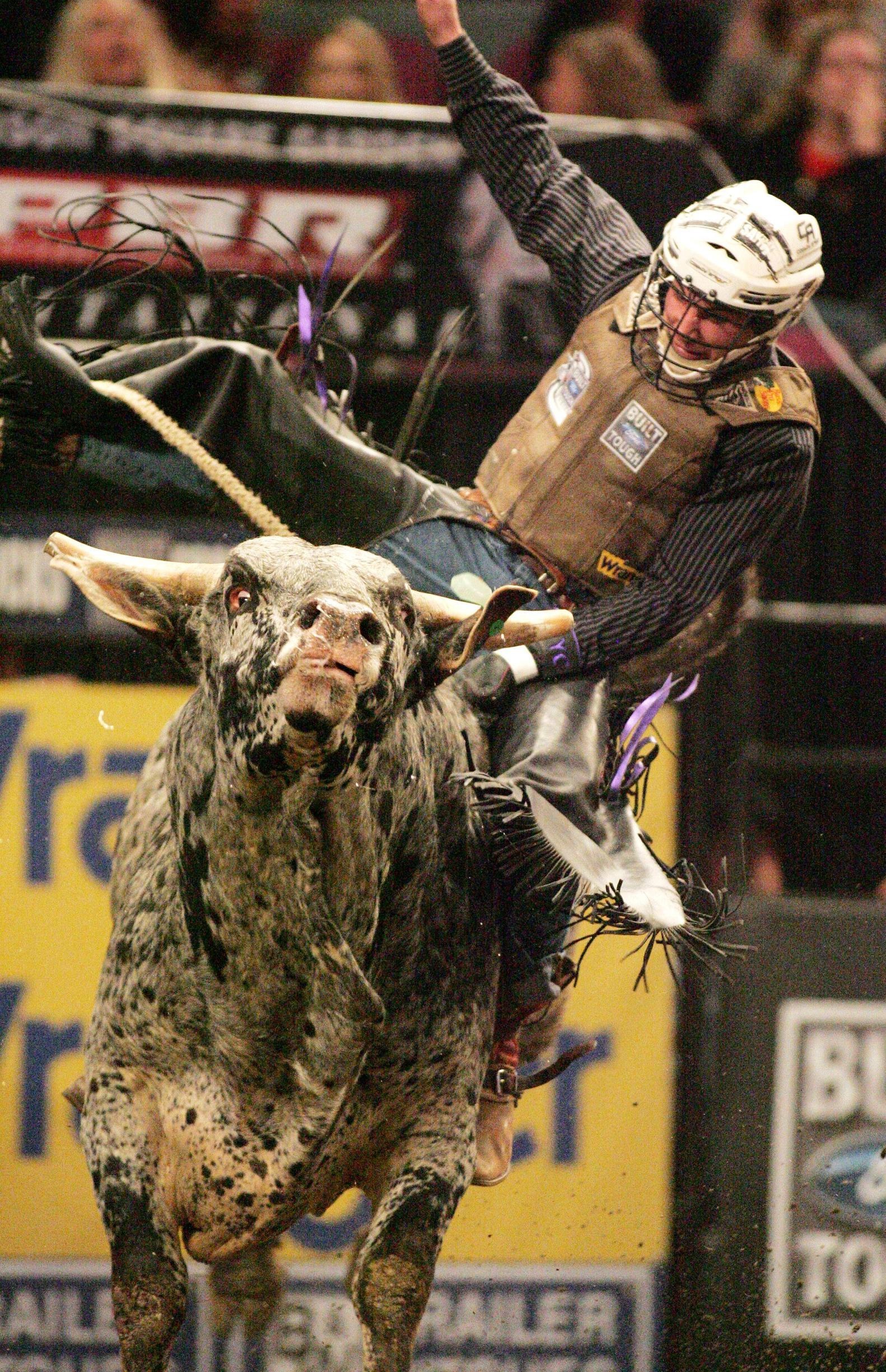 Bullriding image ID, Extreme sport, Thrilling moments, Courageous riders, 1590x2450 HD Phone