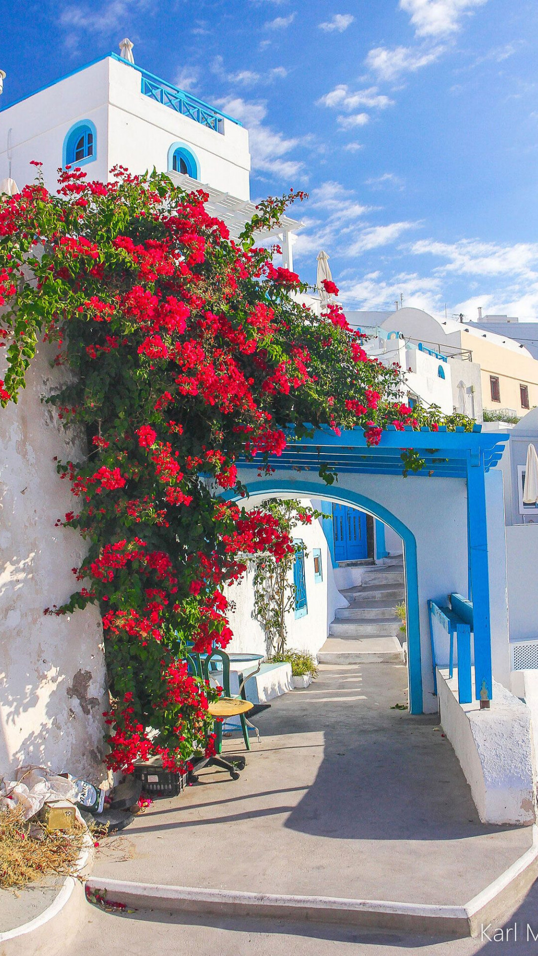 Greece, Bougainvillea in Santorini, Charming beauty, Romantic allure, 1080x1920 Full HD Phone