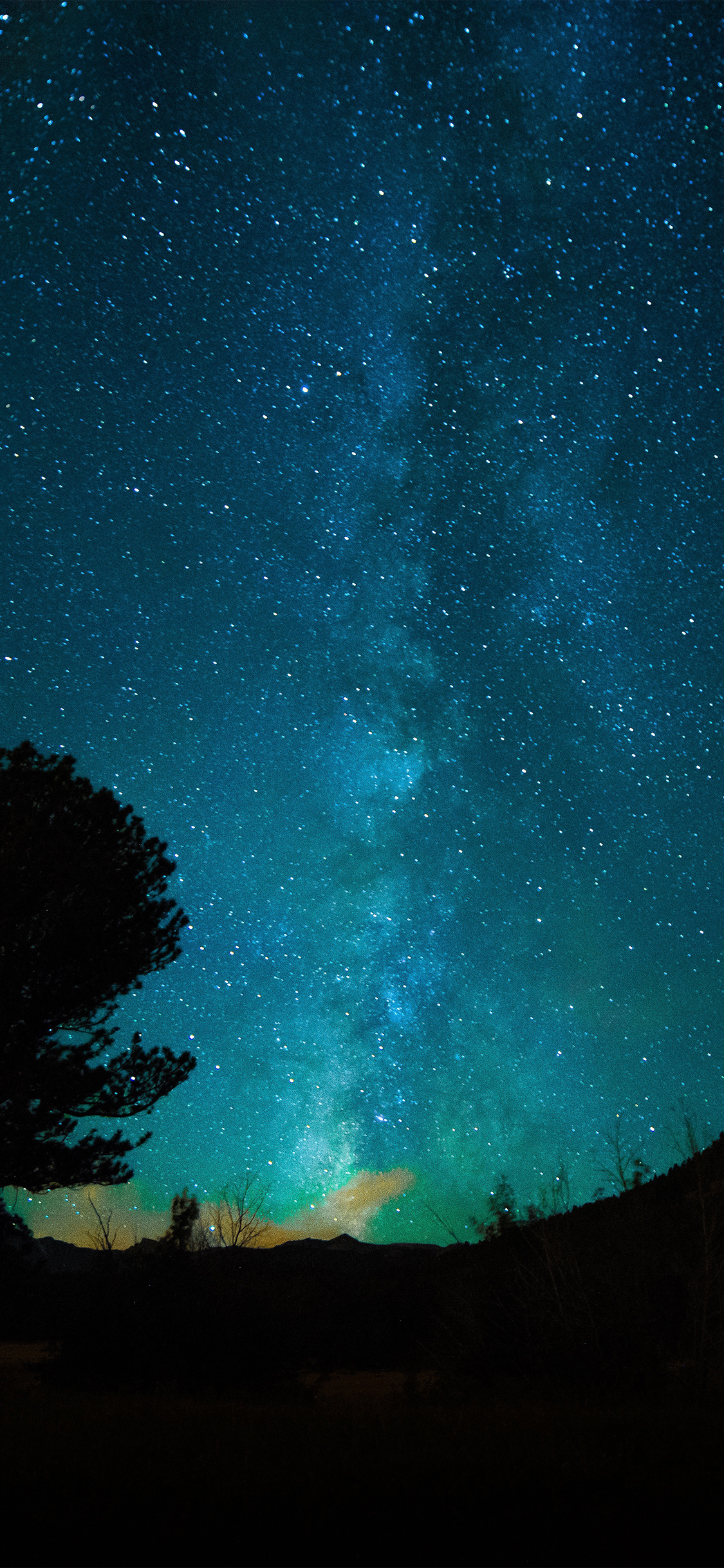 Milky Way galaxy, silhouetted pine trees, turquoise starry night sky, HD Phone wallpaper