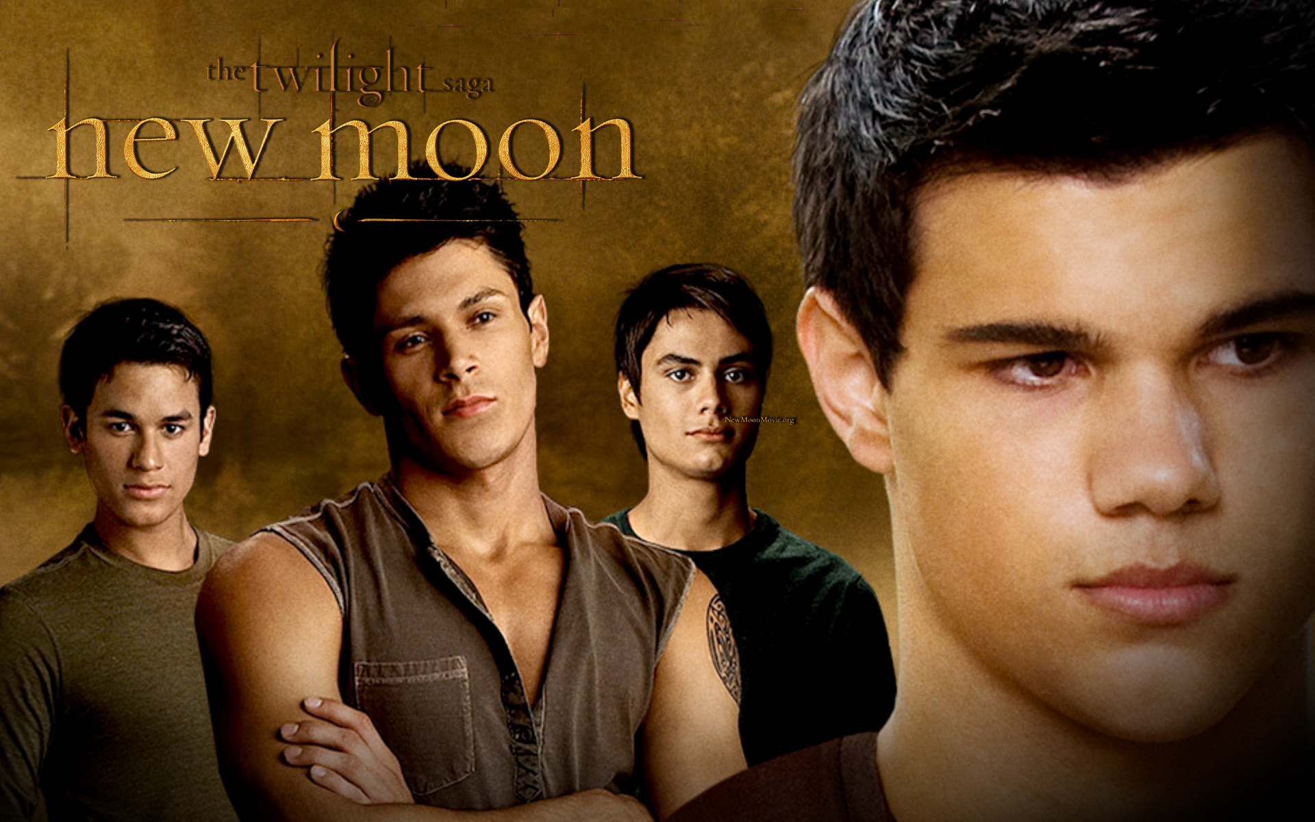 Werewolf new moon, Twilight series tribute, Immersive wallpaper, Fanpop legacy, 1920x1200 HD Desktop