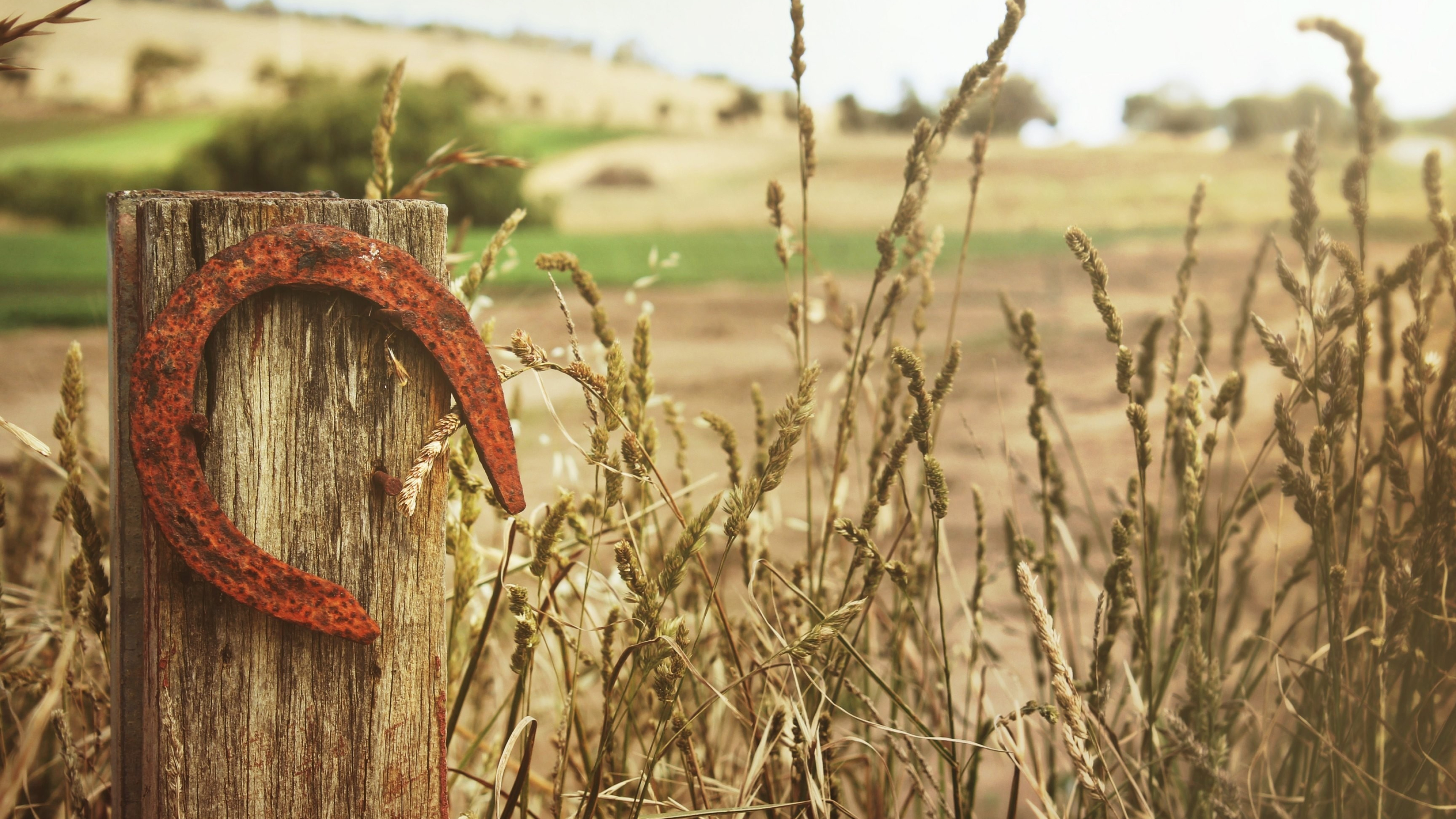 Horseshoe wallpaper, Aesthetic backgrounds, Creative compositions, Wall decor, 3840x2160 4K Desktop