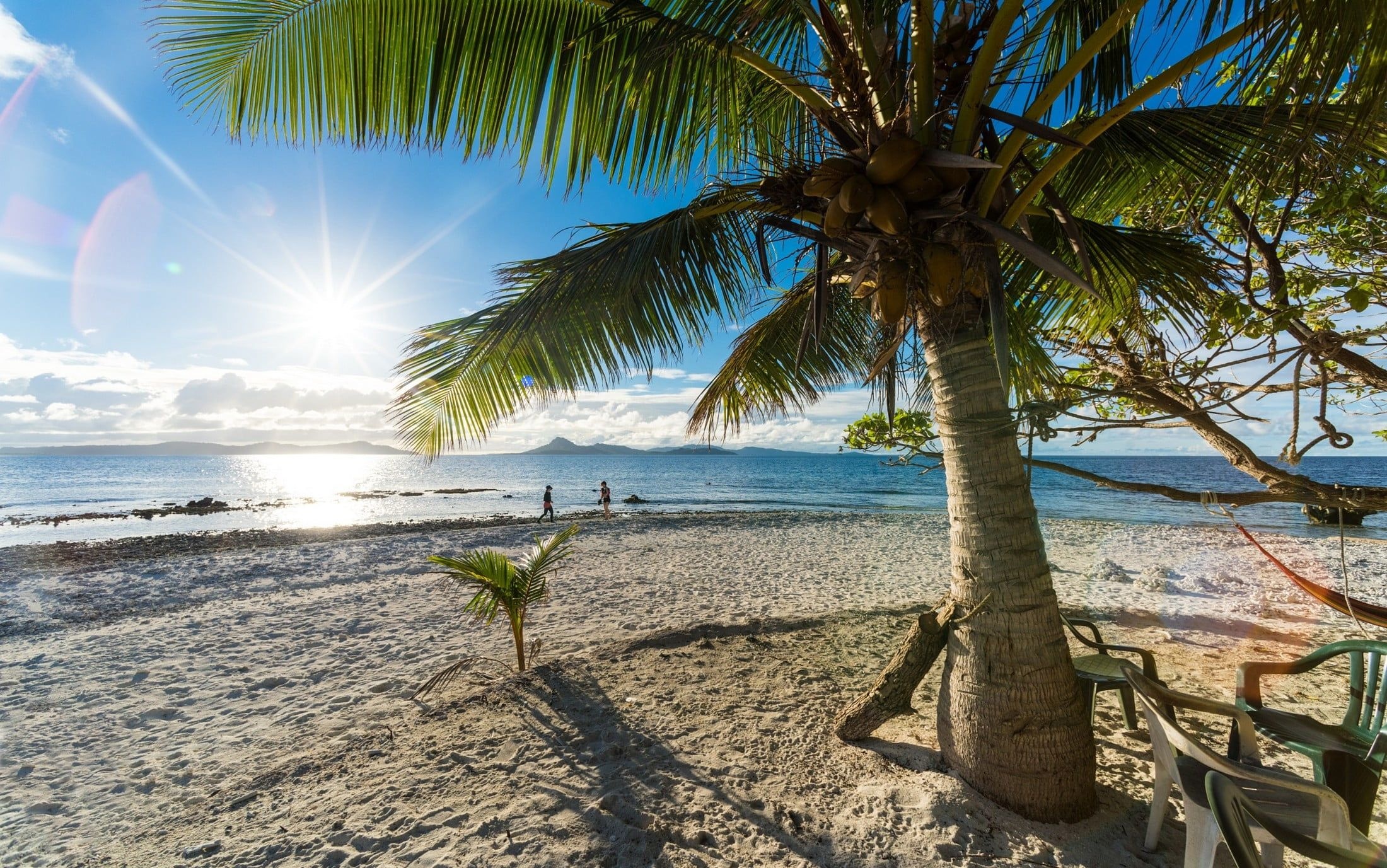 Coconut palm tree, Sunburst over ocean, Tropical sandy beach, HD Desktop wallpaper