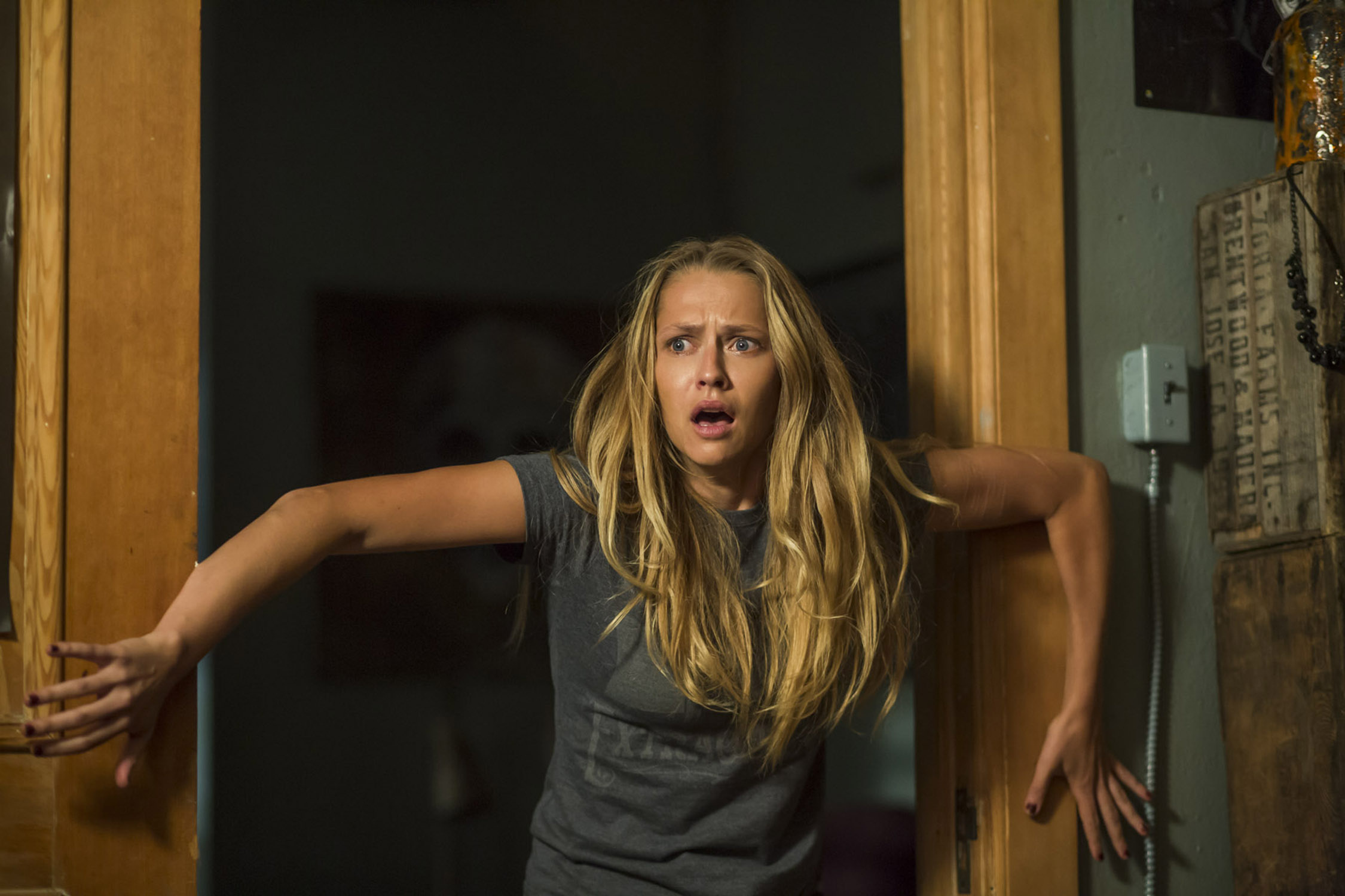 Teresa Palmer, Matthew Goode, Upcoming collaboration, Exciting movie, 2250x1500 HD Desktop