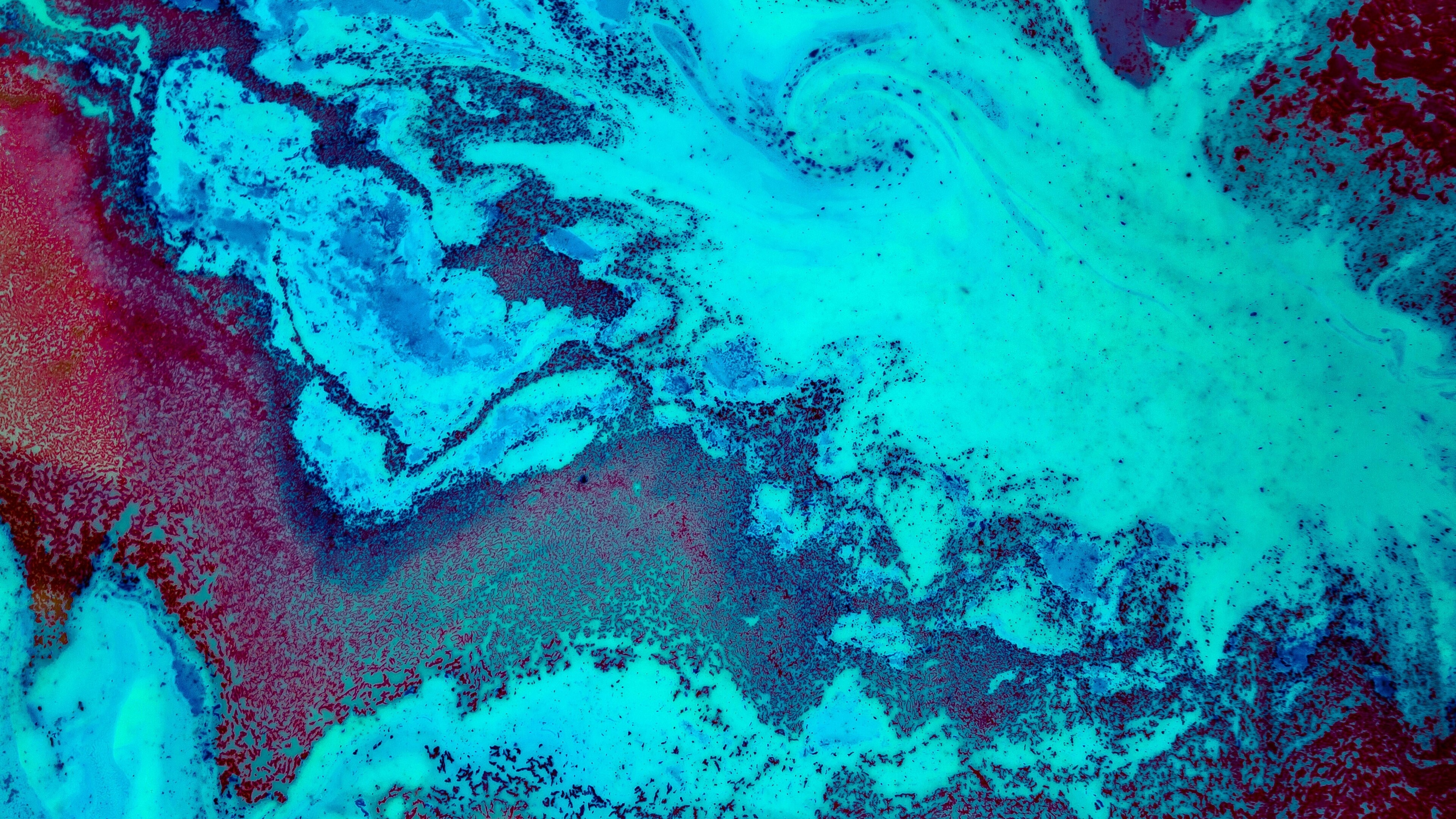 Coral Sea, Coral reef, Underwater paradise, Sea life, 3840x2160 4K Desktop