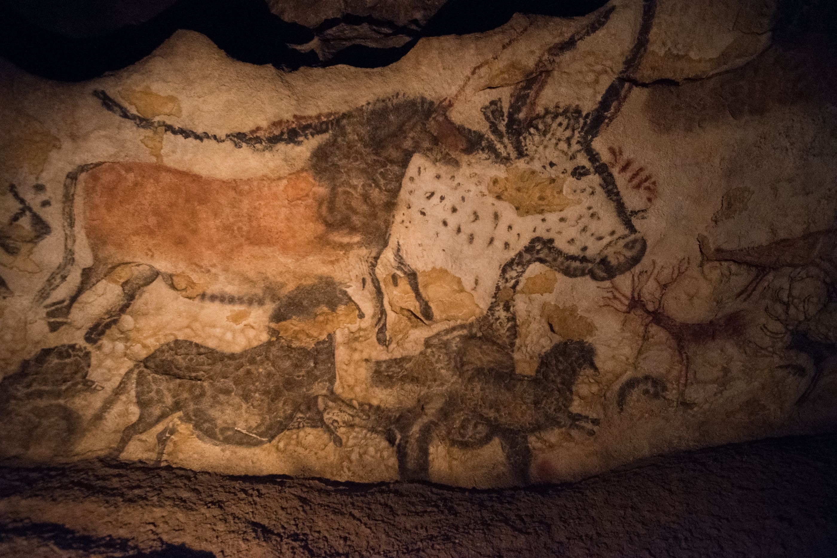 Lascaux, France, Download images, Prehistoric art, 2800x1870 HD Desktop