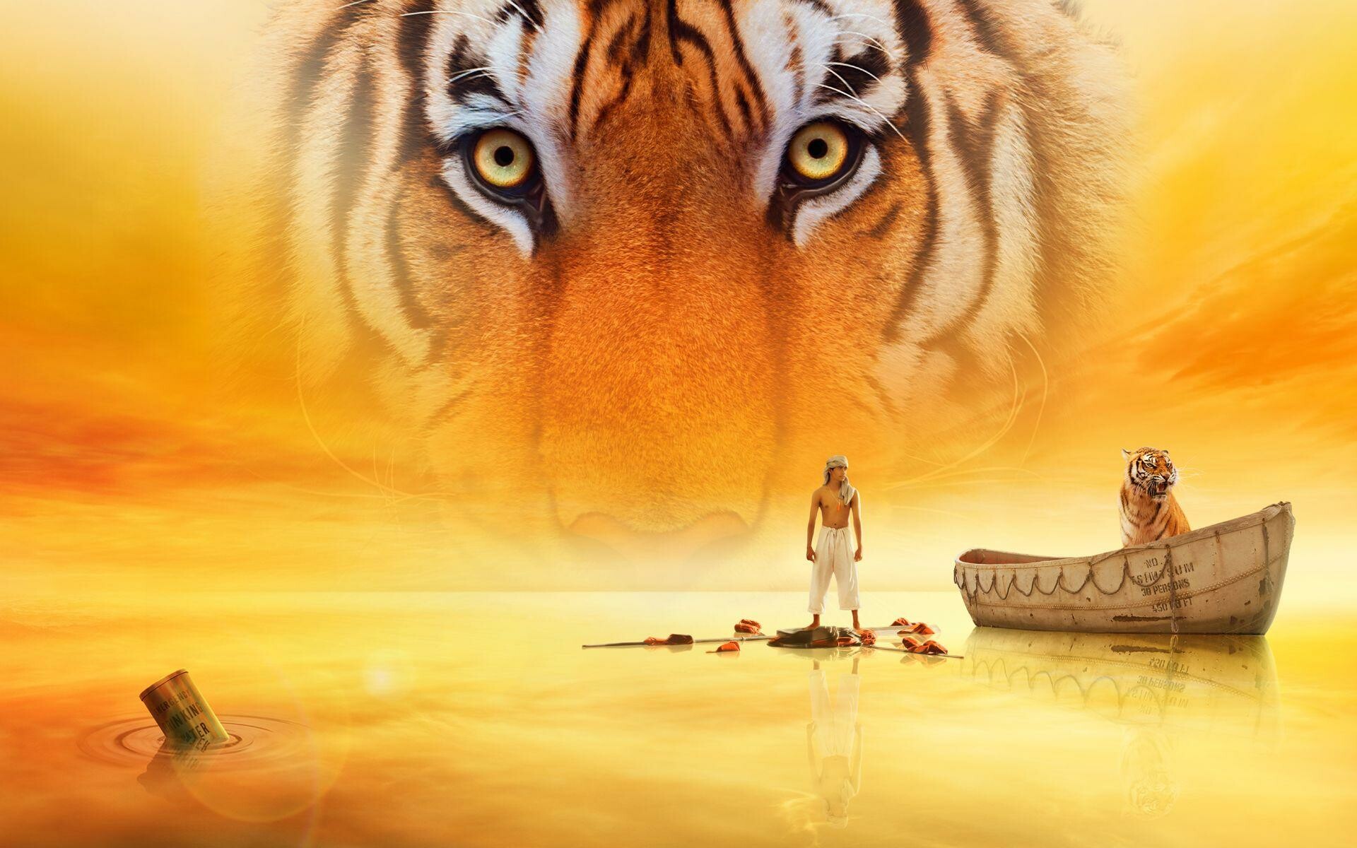 Life of Pi, 4k wallpapers, Top backgrounds, Stunning visuals, 1920x1200 HD Desktop