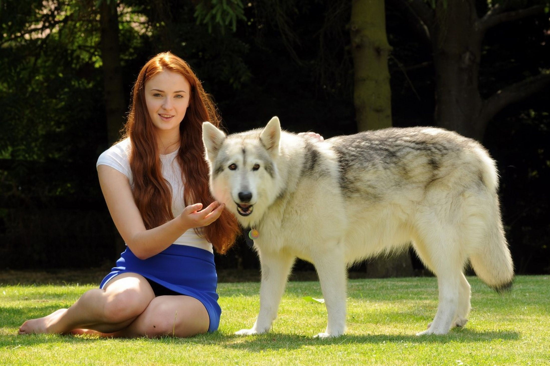 White Siberian Husky, Sophie Turner, Wallpaper, 2200x1470 HD Desktop