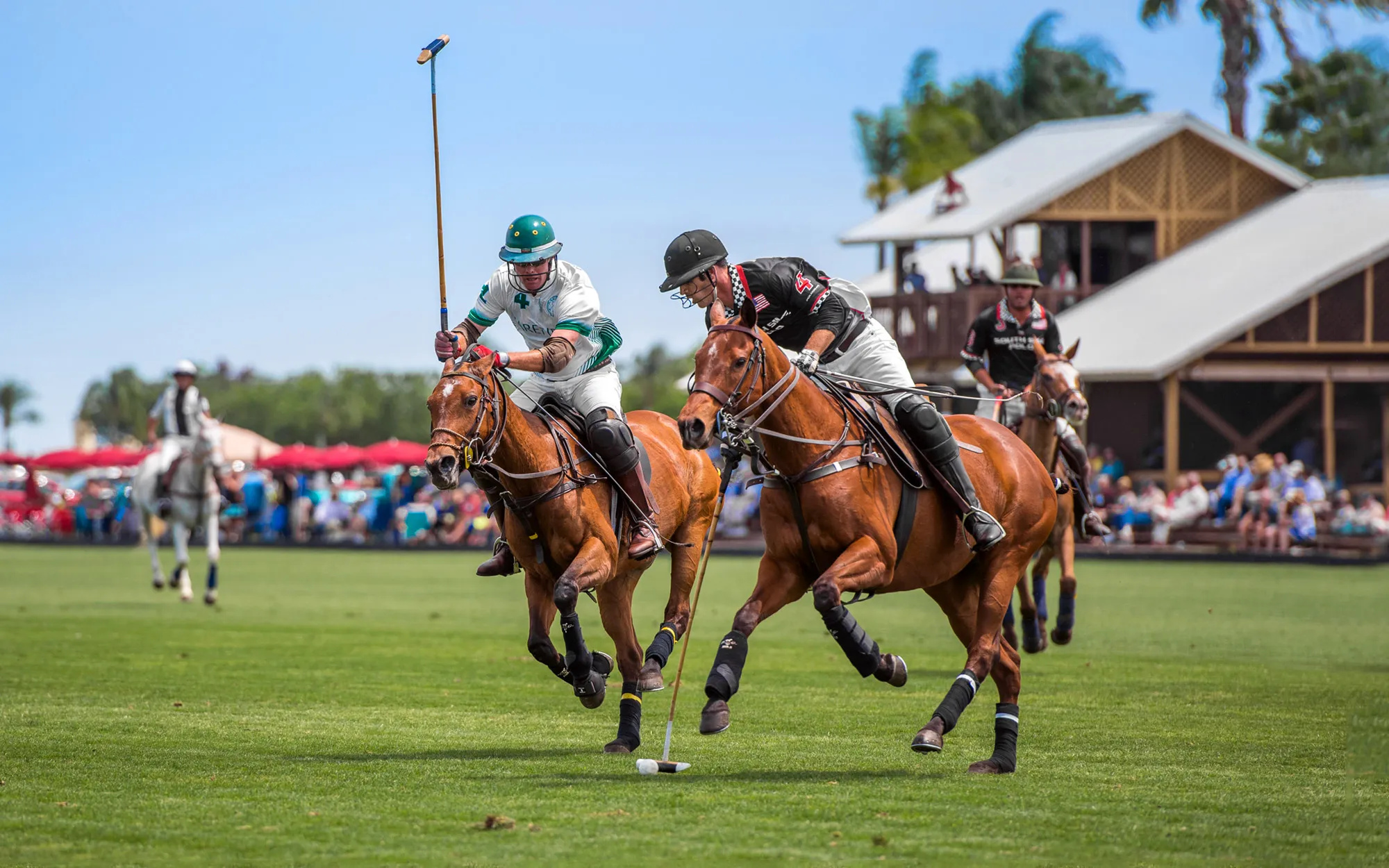 Polo: No longer reserved, Sport of Kings, Class transcends royalty, 2000x1250 HD Desktop