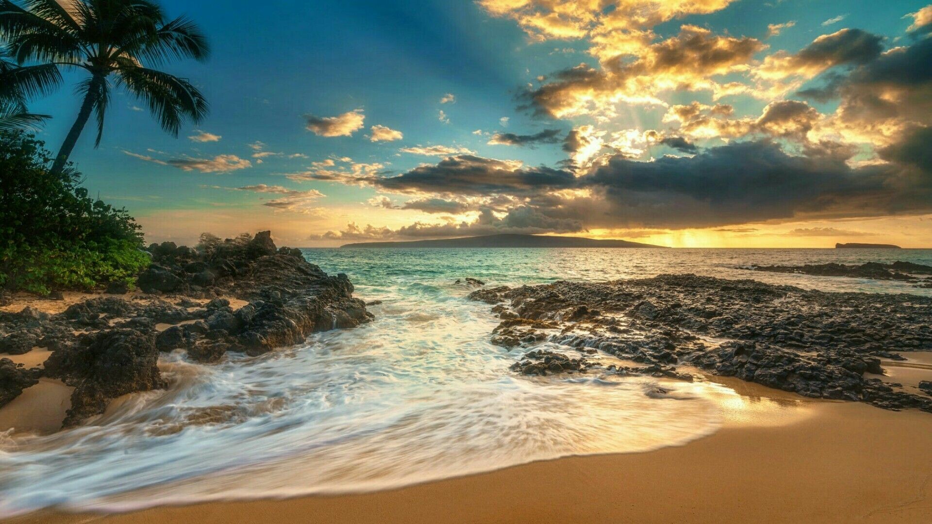 Maui beach, Tropical paradise, Ocean waves, Palm trees, 1920x1080 Full HD Desktop