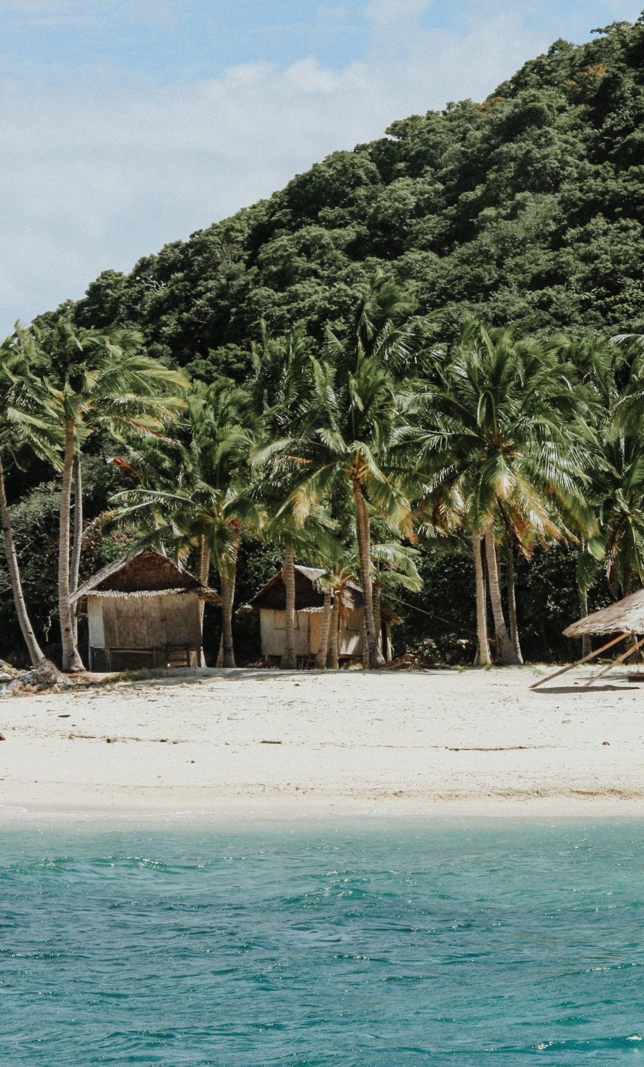 Thatched wooden beach huts, Lush coconut palm trees, Turquoise coastal ocean water, HD Phone wallpaper