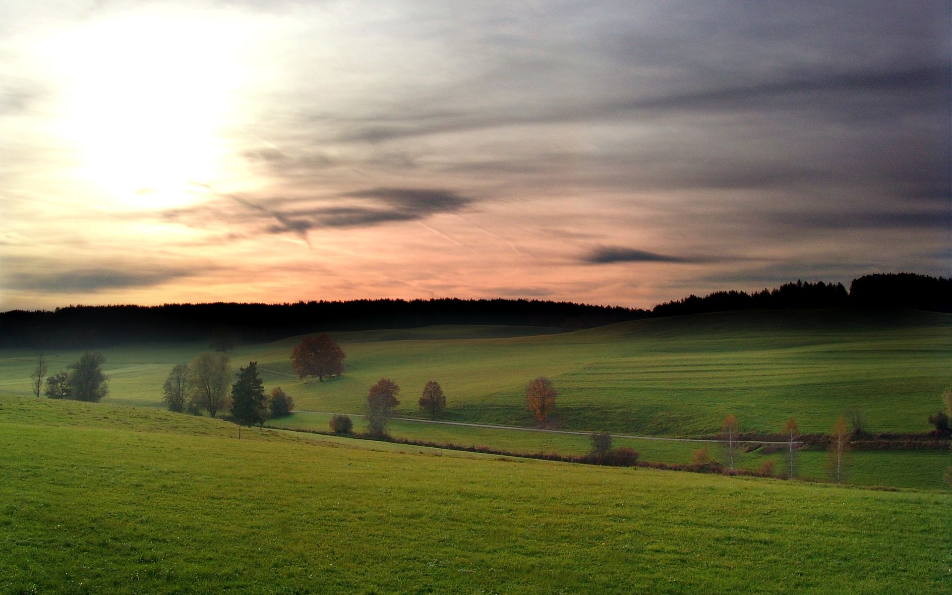 rolling green pasture hills, dark coniferous forest ridge, cloudy sunset twilight sky, HD Desktop wallpaper