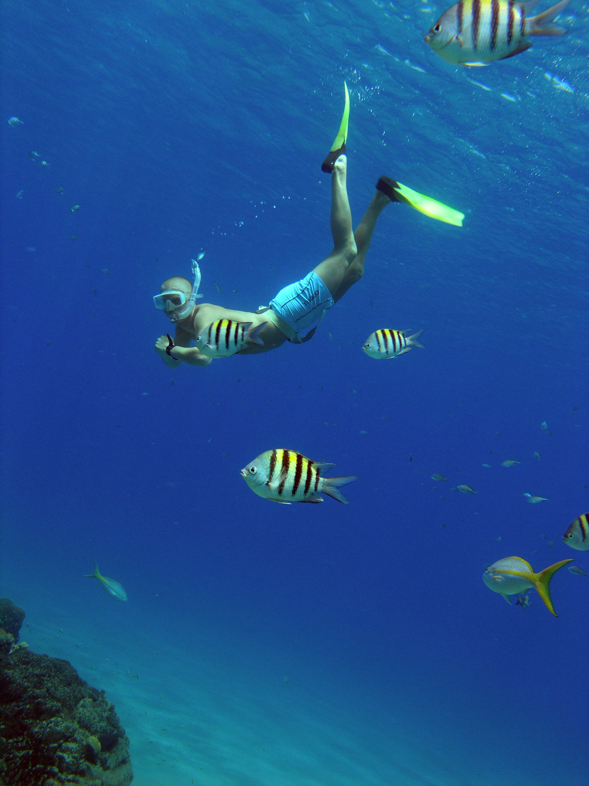 Sosua bay, Snorkeling Wallpaper, 2000x2670 HD Phone