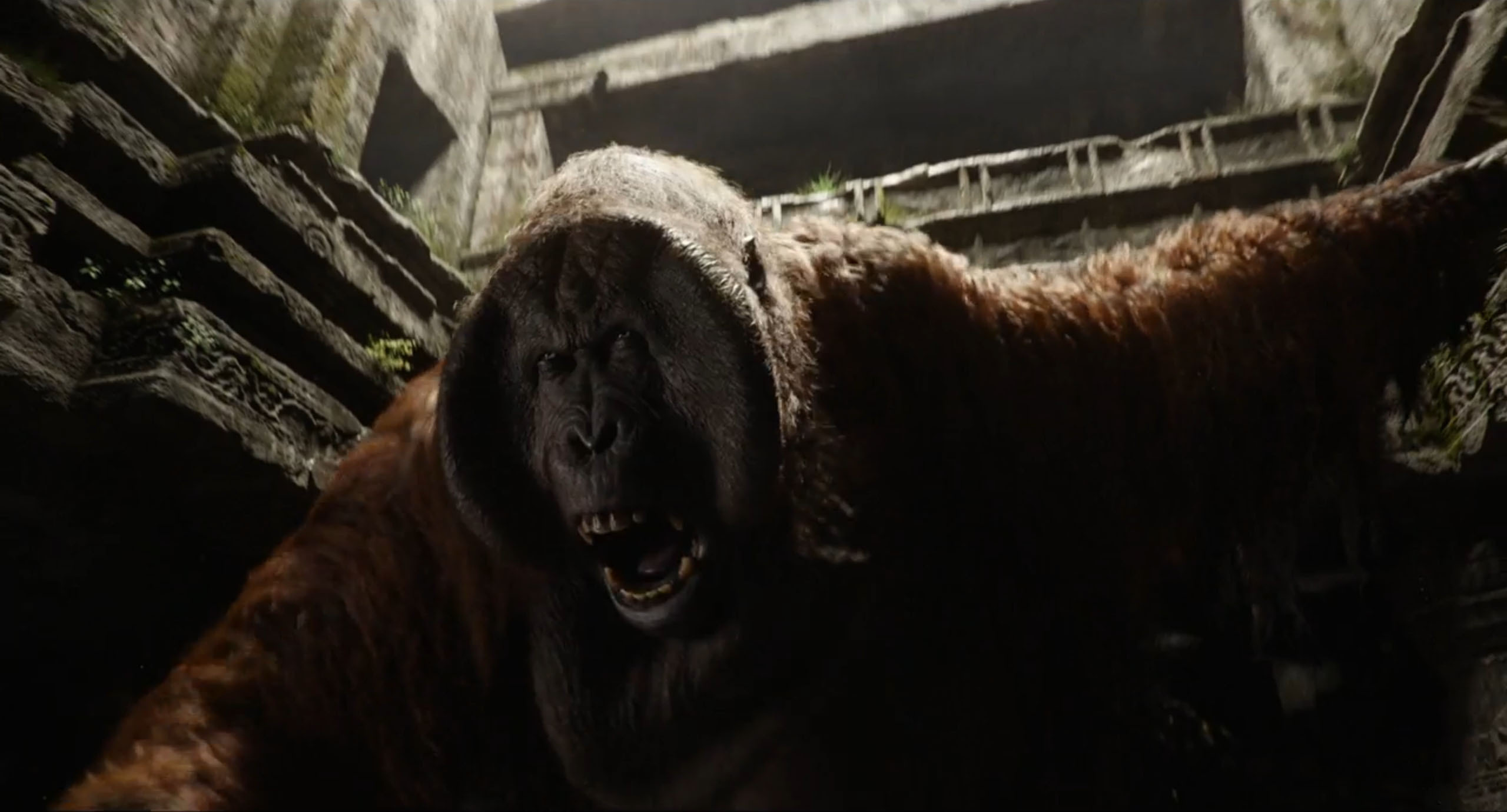 The Jungle Book (Movie), HQ movie wallpapers, Stunning 4K images, Captivating visuals, 2560x1380 HD Desktop
