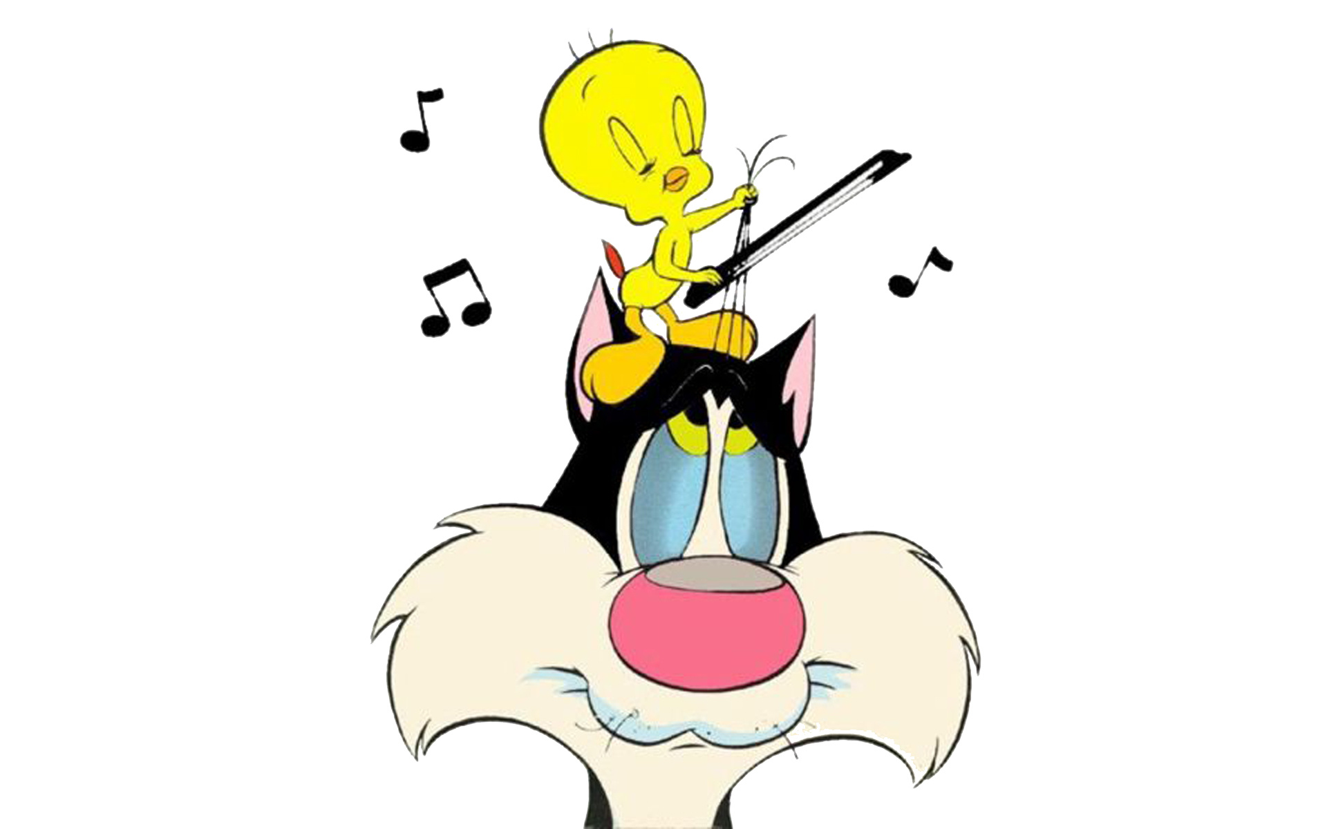Tweety Bird, Sylvester Cat, Music notes, Desktop wallpaper, 1920x1200 HD Desktop