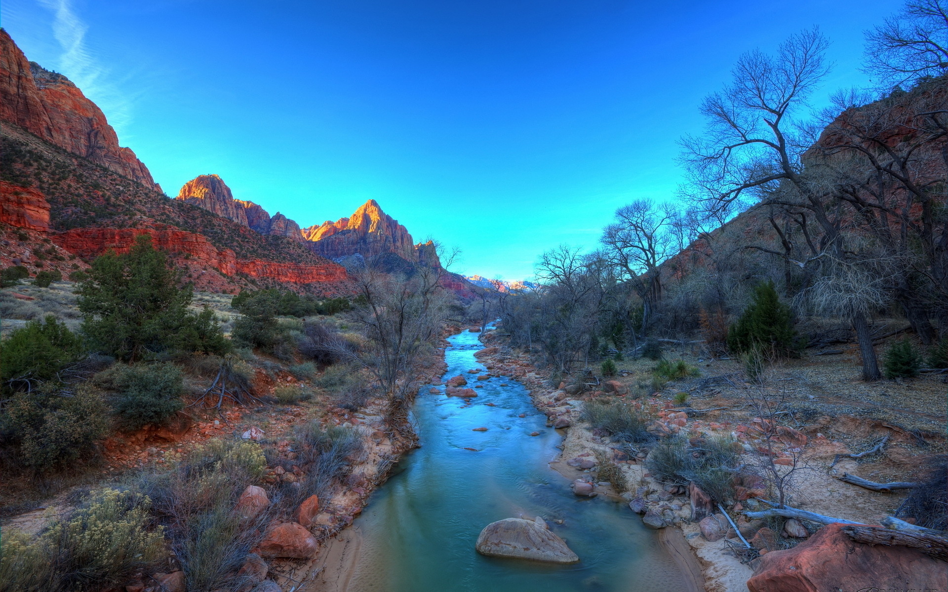 Zion National Park, Widescreen views, Majestic mountains, Natural beauty, 1920x1200 HD Desktop