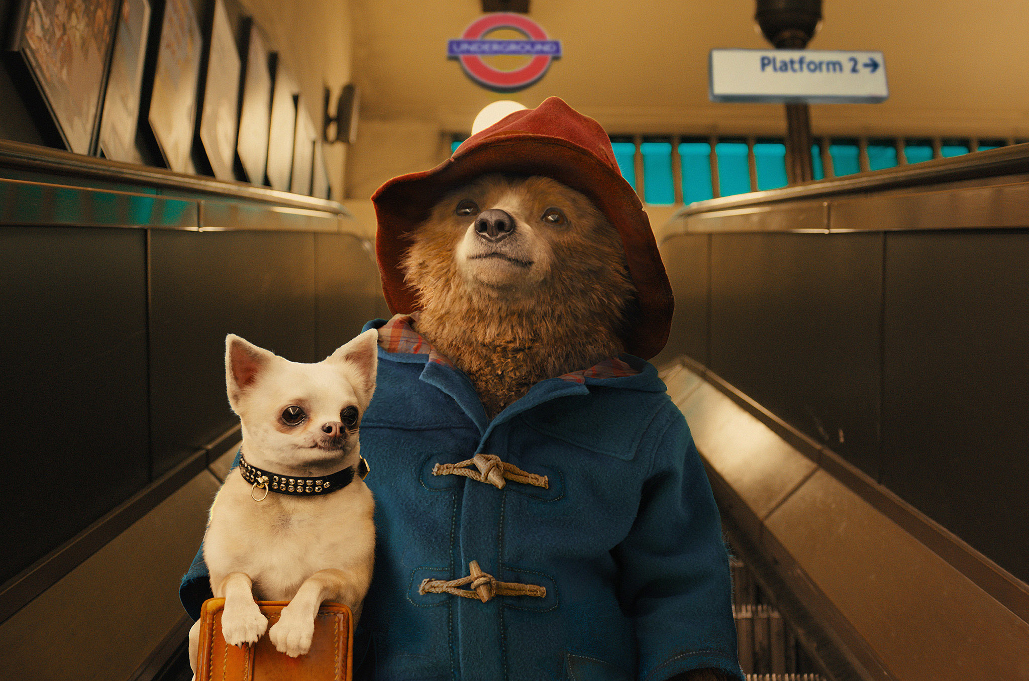 Paddington 2014 movie, Directed by Paul King, Paddington film review, Movies wallpaper, 2050x1360 HD Desktop