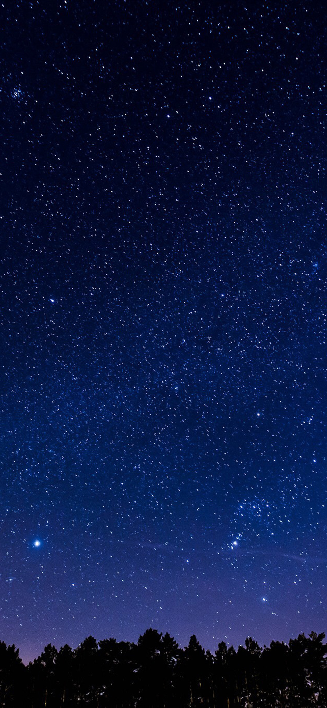 Orion constellation, pine tree silhouette, starry night sky, HD Phone wallpaper