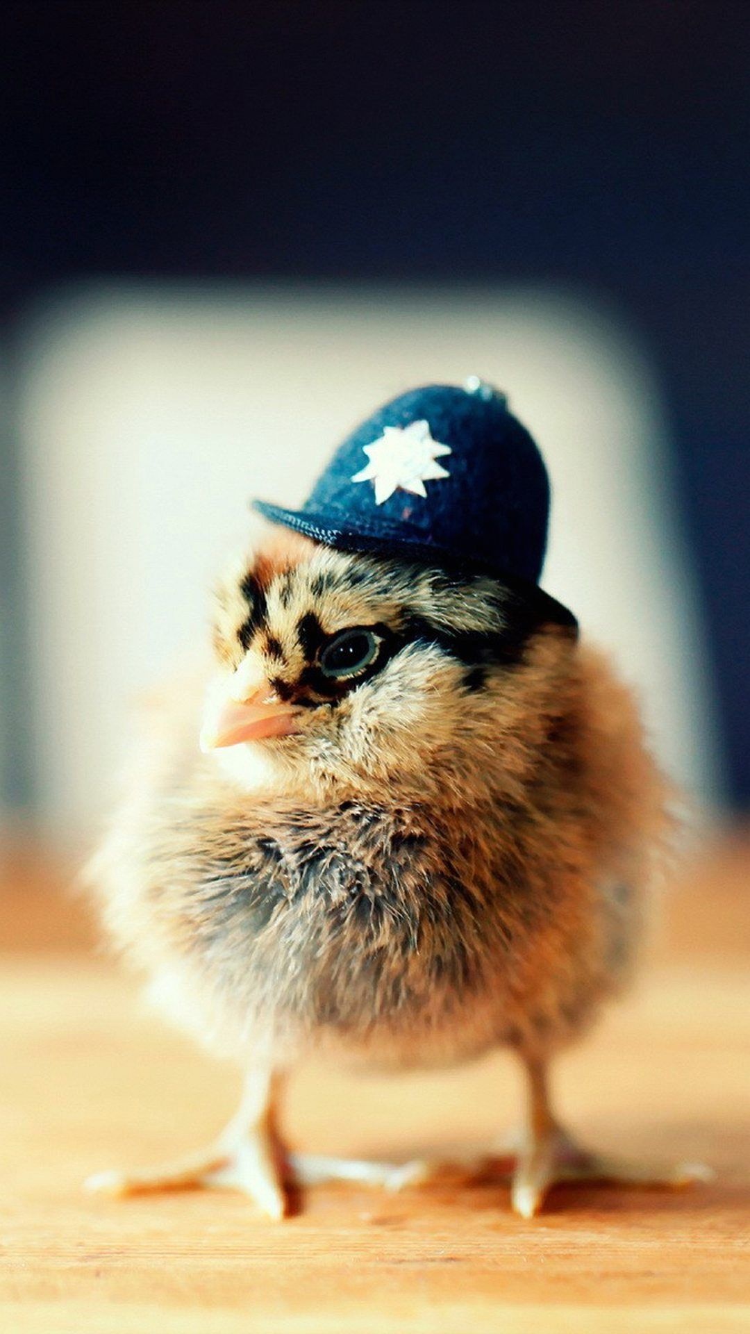 Fluffy baby chick, Miniature police helmet, Wooden tabletop surface, Full HD Phone wallpaper