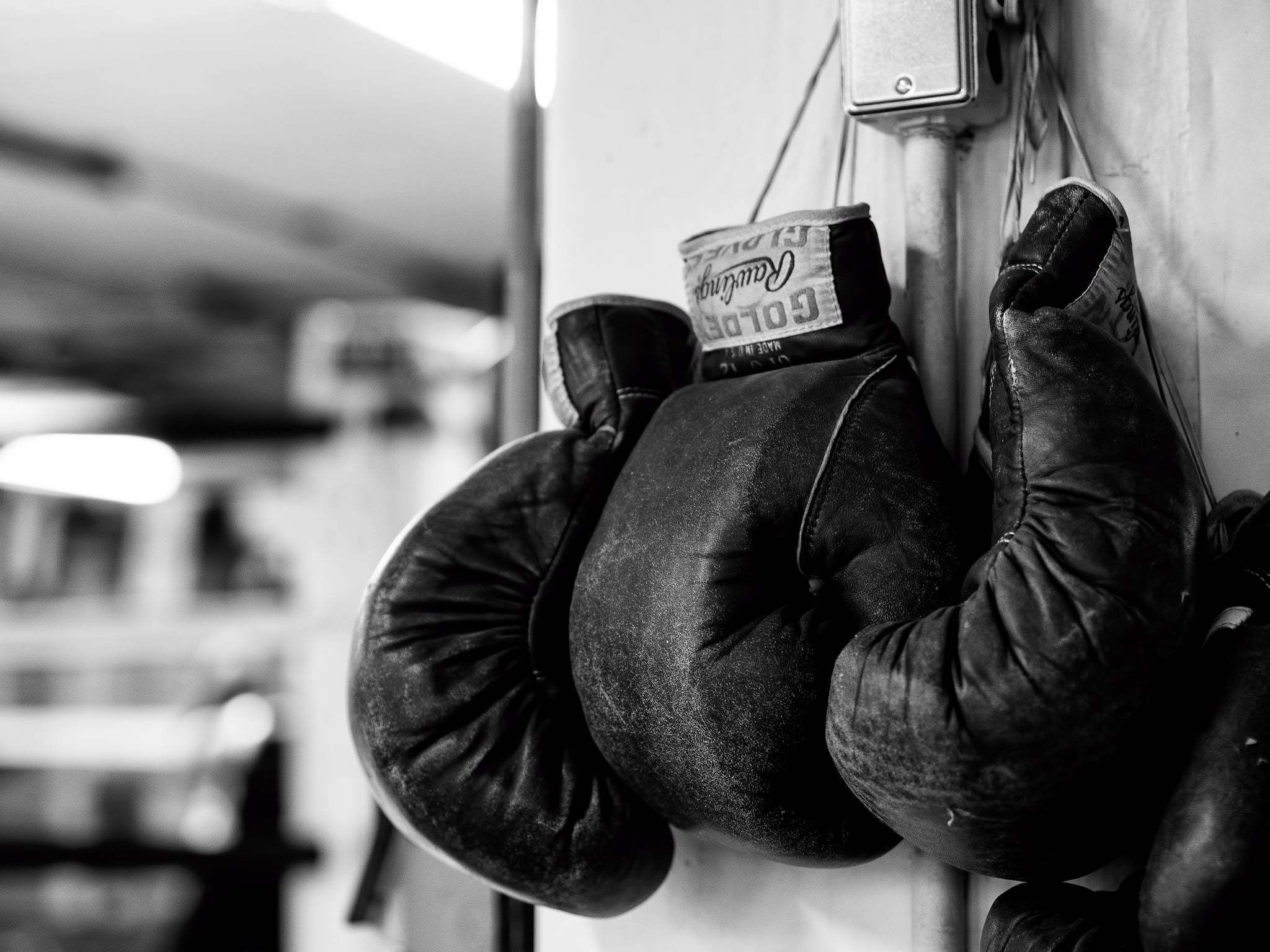 Boxing Gloves, Monochrome, Sports, Photos, 2050x1540 HD Desktop