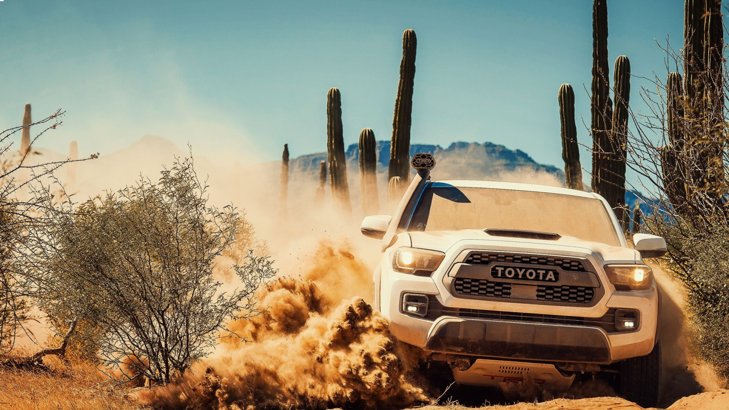 Toyota Tacoma TRD Pro, Rally Raid Wallpaper, 2560x1440 HD Desktop