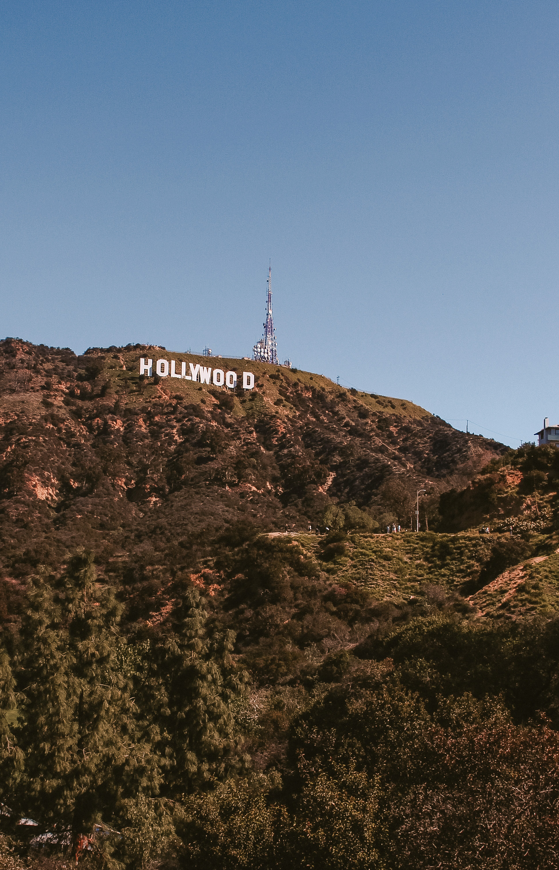 Hollywood Sign, Rocky mountain landscape, Blue sky backdrop, Free stock photo, 1940x3020 HD Phone