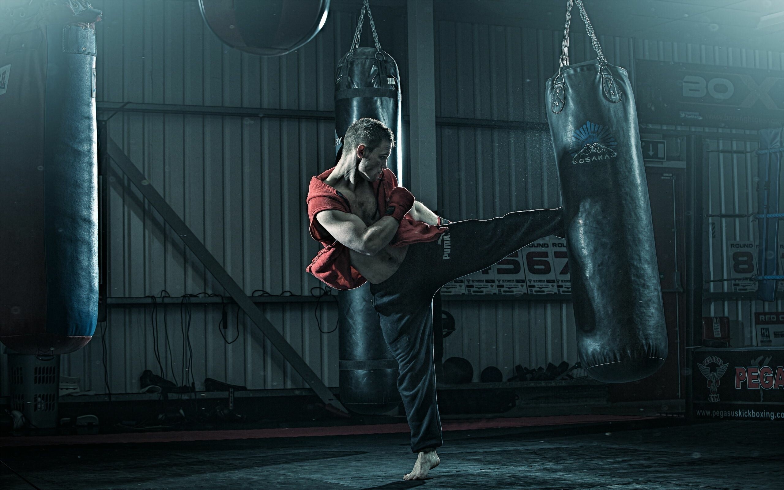 Martial Art, Kickboxing wallpapers, PC and mobile, Free images, 2560x1600 HD Desktop