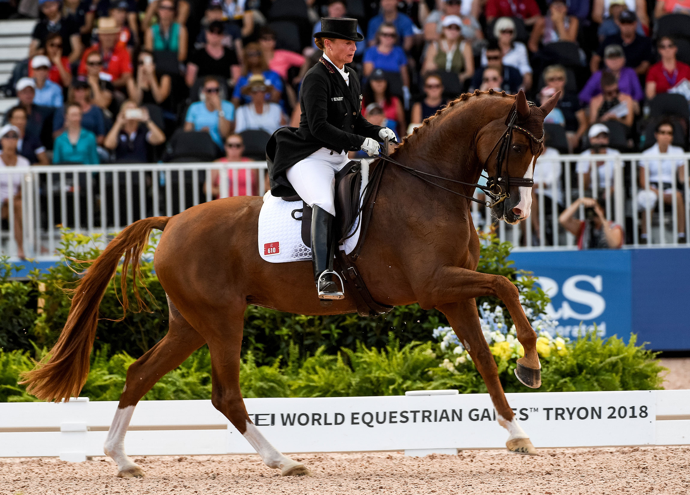 2018 FEI World Equestrian Games, Dressage Wallpaper, 2300x1660 HD Desktop