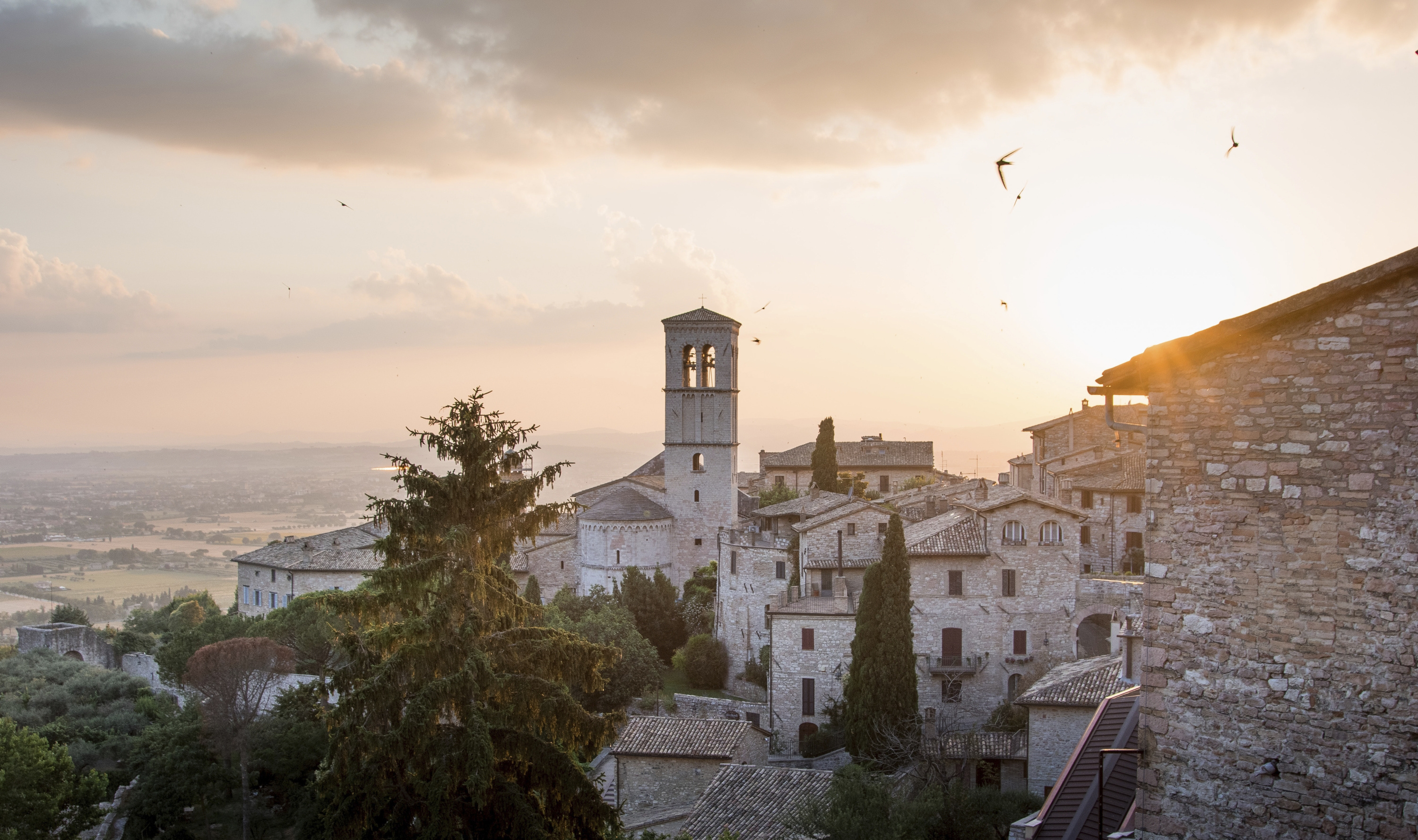 Lidl Reisen, Direct booking, Assisi vacation, 3000x1780 HD Desktop