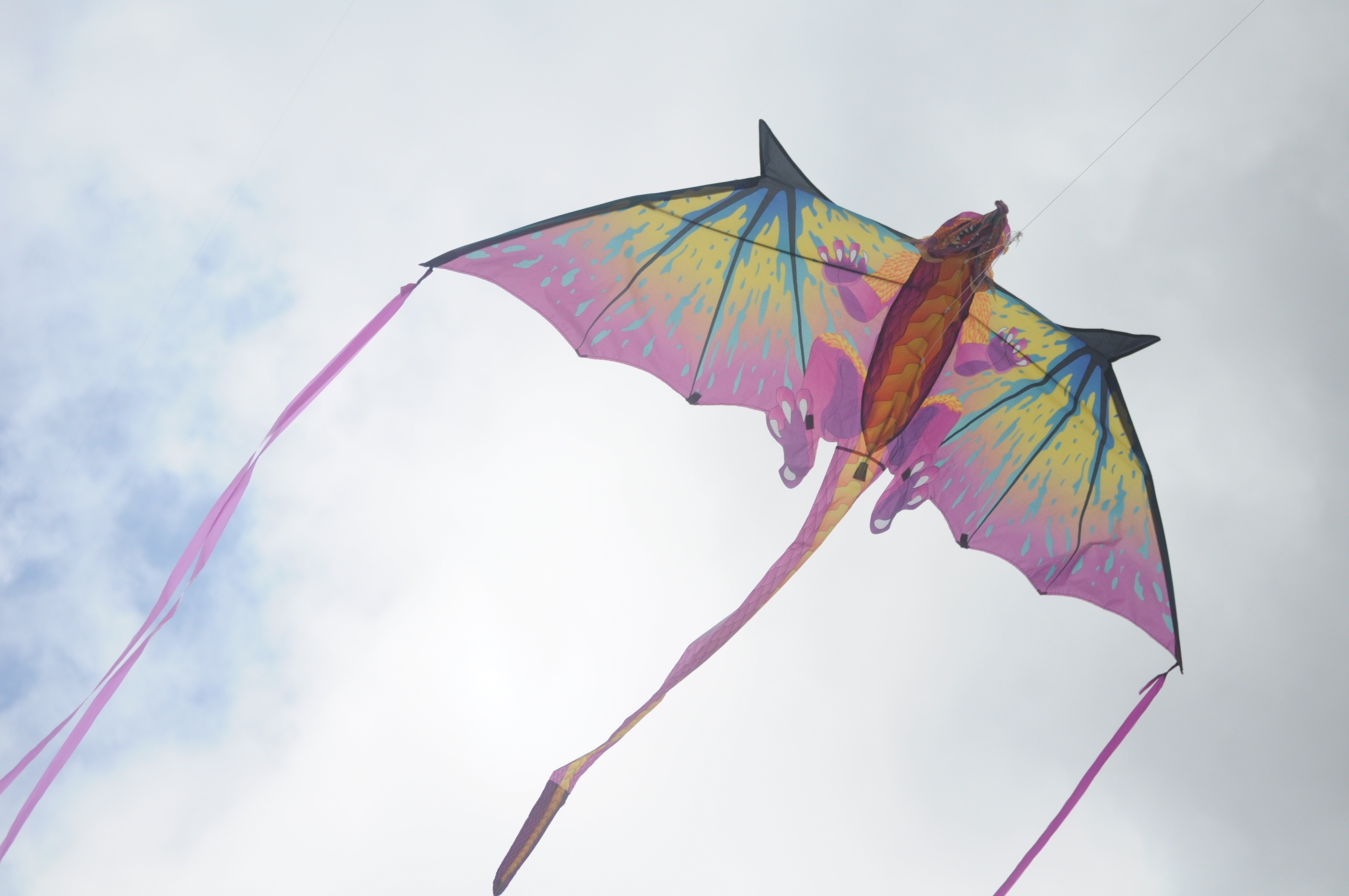 Wing Line, Umbrella Color, Pink, Sport, 3220x2140 HD Desktop