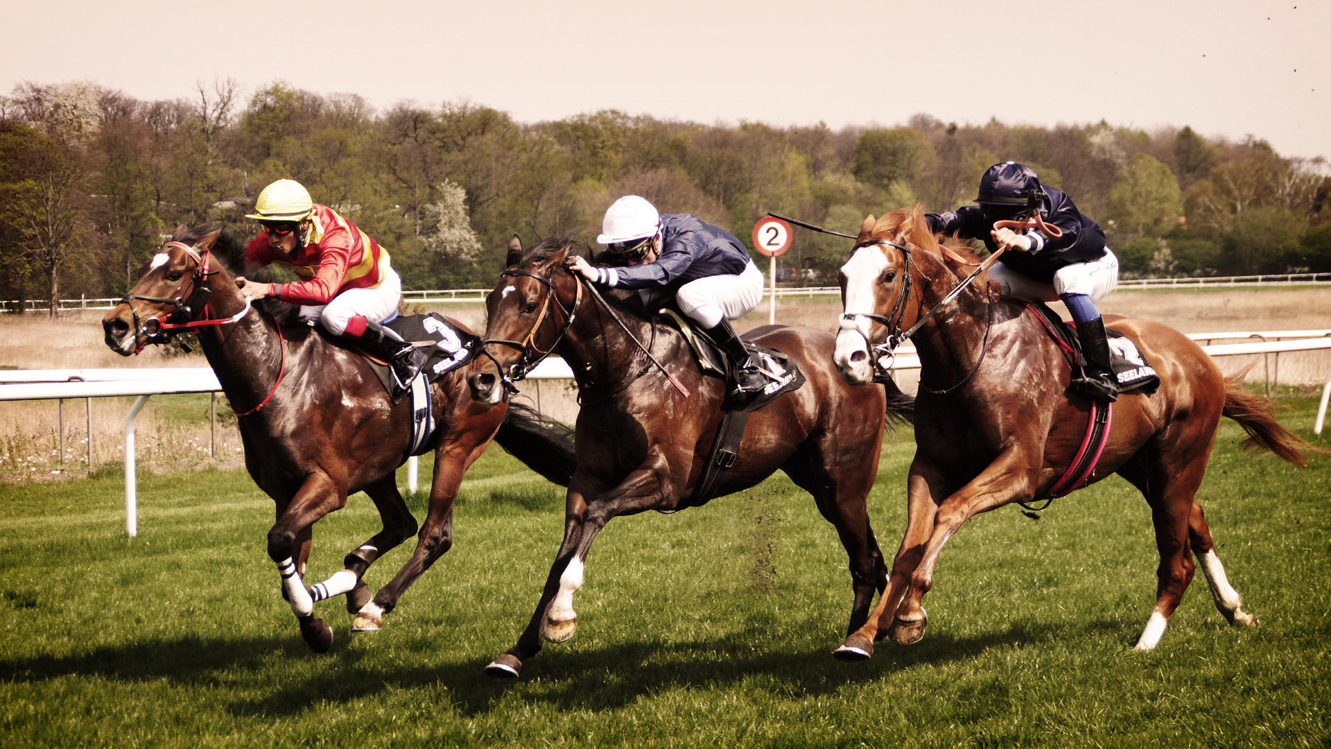 Horse Racing, HD Wallpaper, Desktop Mobile Tablet, Horse scenes, 1920x1080 Full HD Desktop