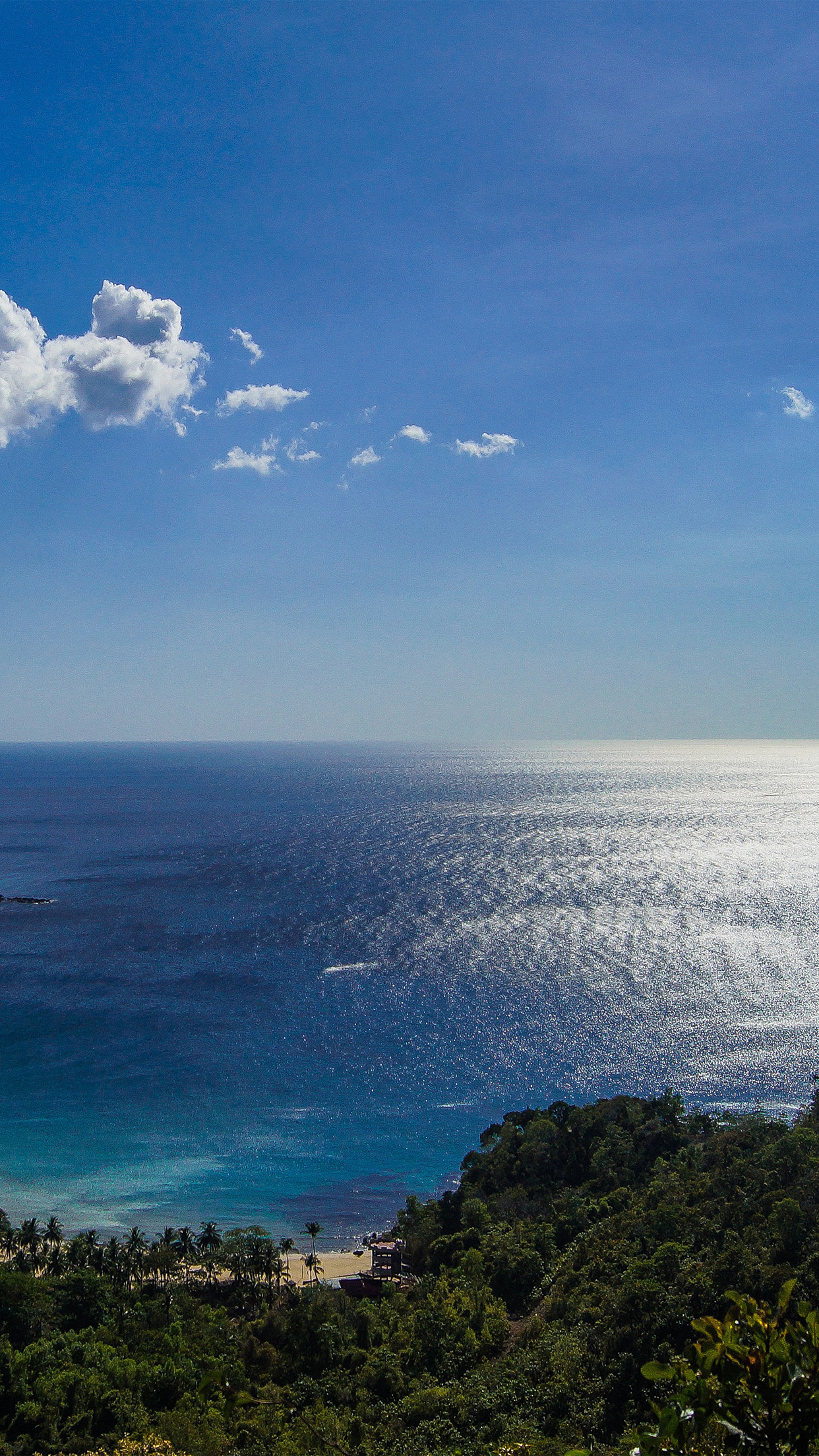 secluded tropical beach cove, lush coastal rainforest hill, sunlit shimmering ocean horizon, HD Phone wallpaper