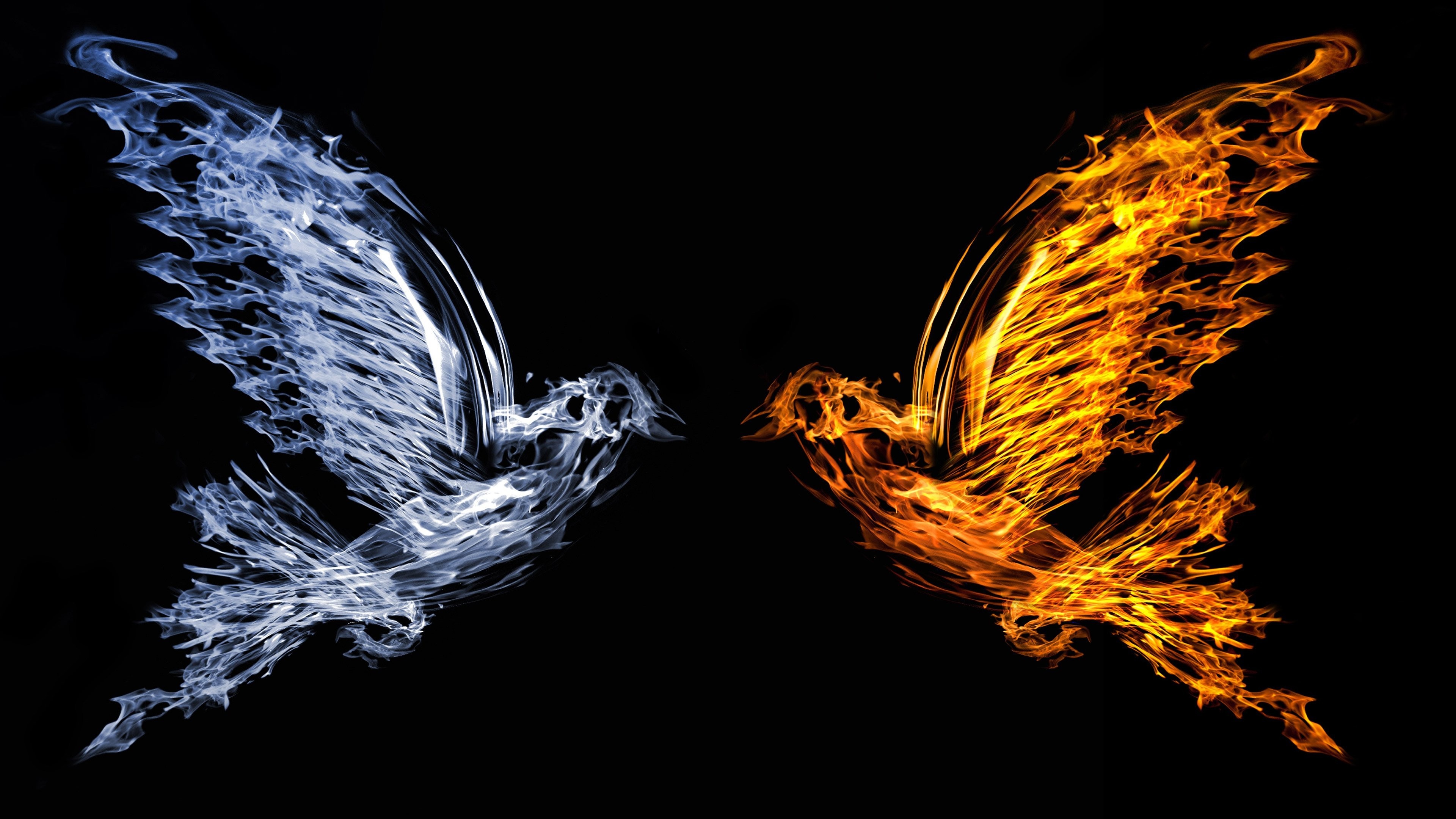 Bird silhouette, Fire Wallpaper, 3840x2160 4K Desktop