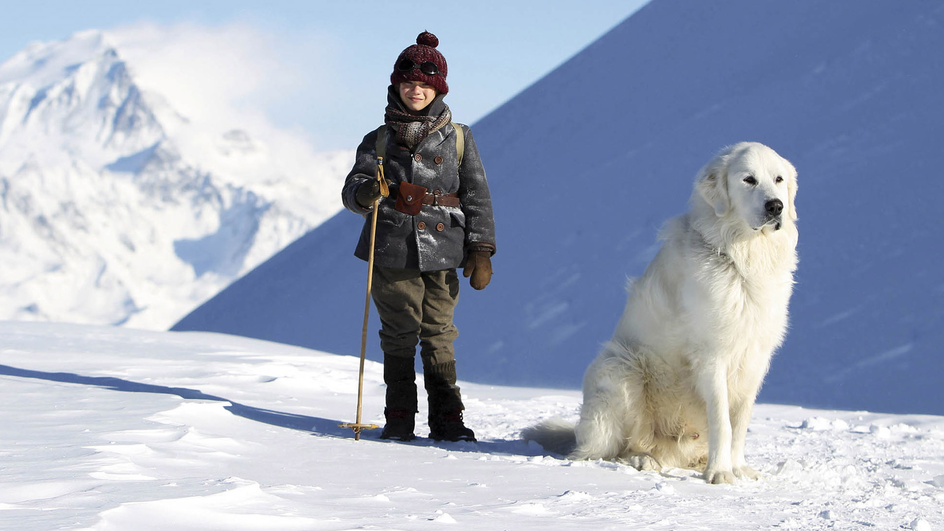 Great Pyrenees, Amazing Wallpapers, 1920x1080 Full HD Desktop