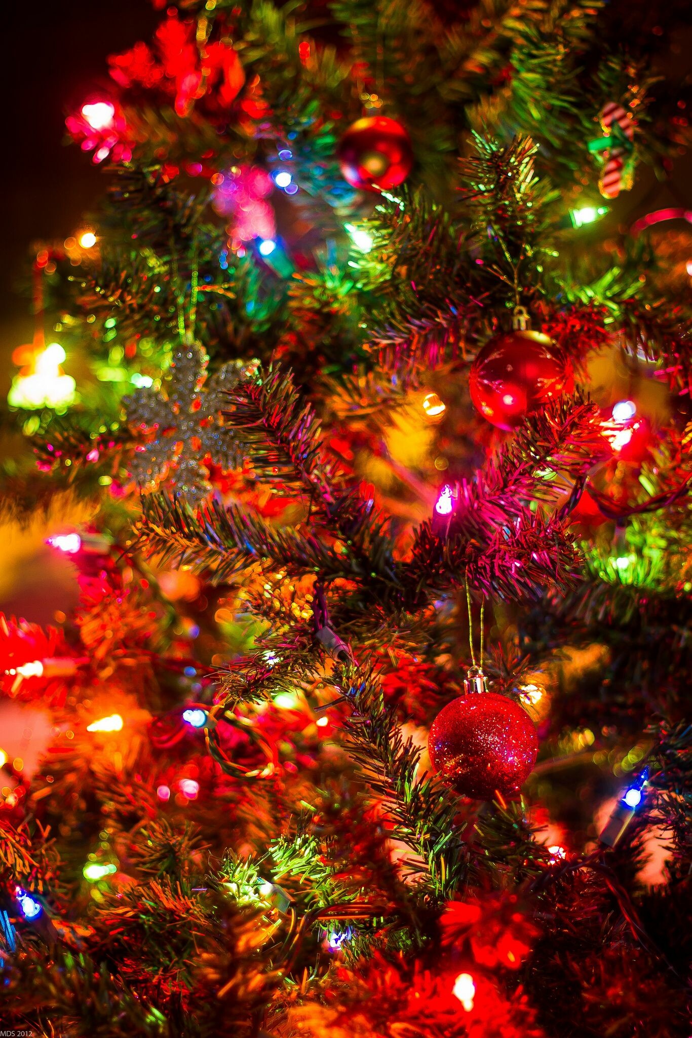 Christmas lights, Background scenes, Festive ambiance, Holiday cheer, 1370x2050 HD Phone