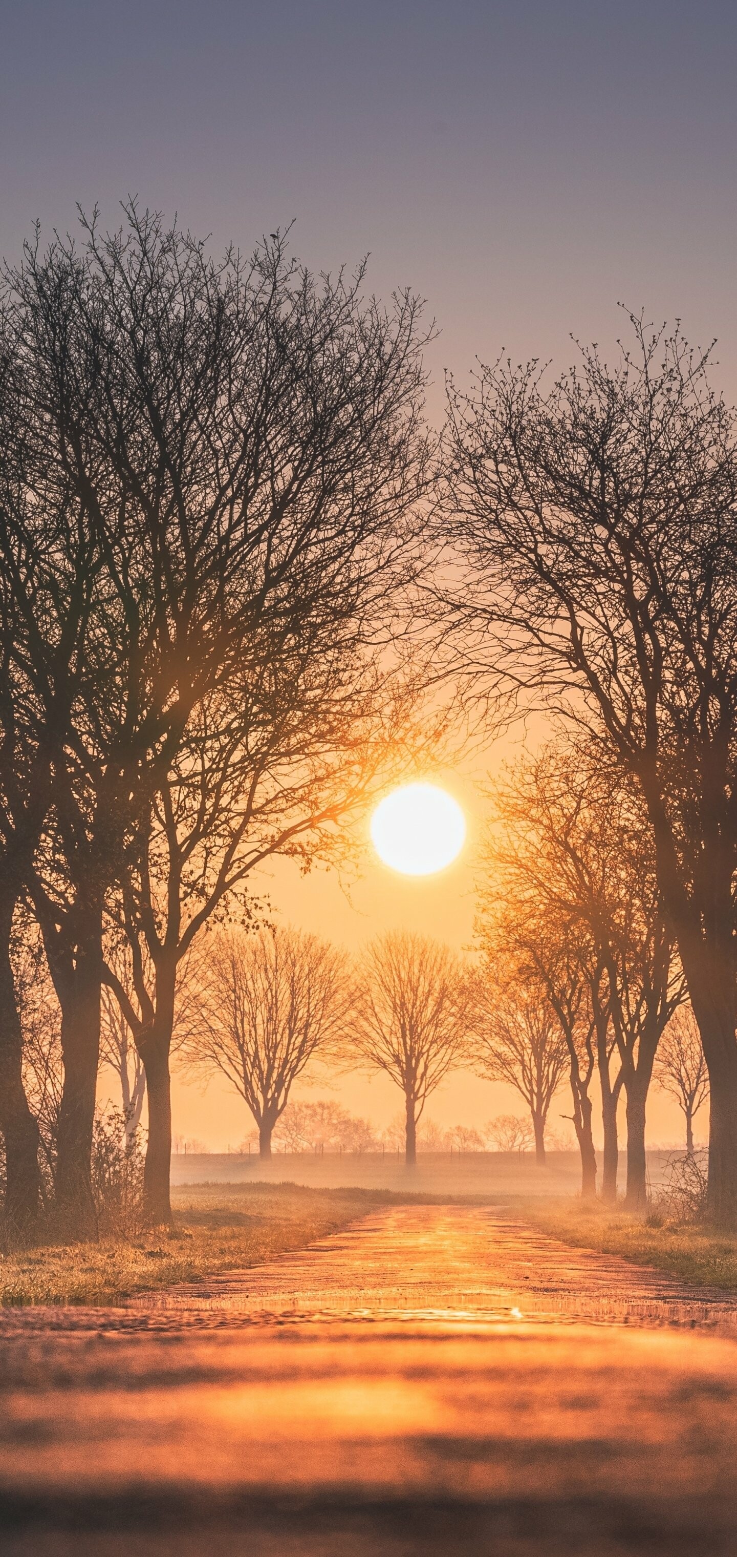 Nature, Sunrise, Earth, 1440x3040 HD Phone