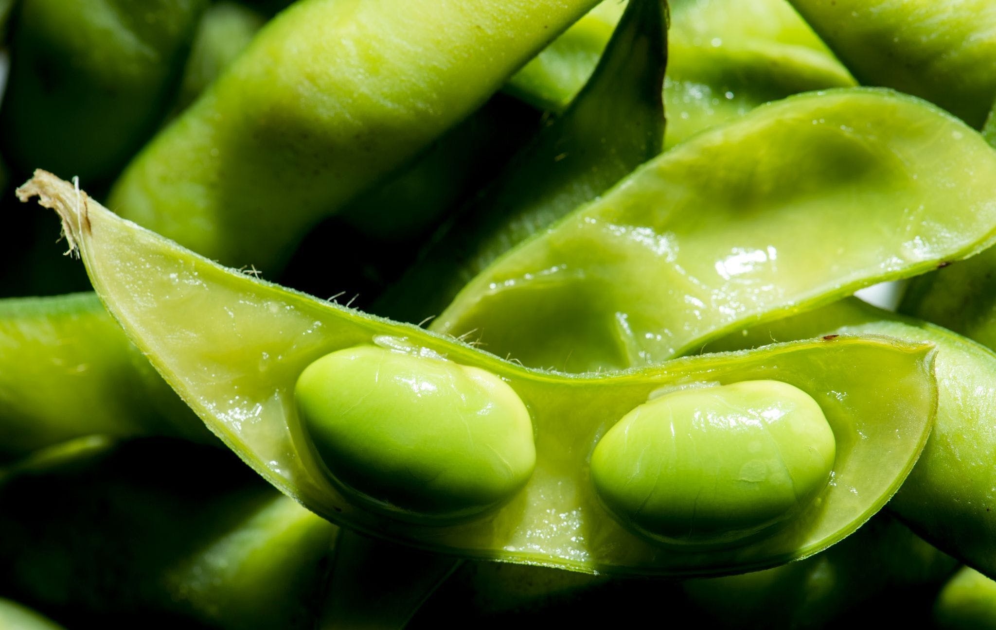 Edamame schote, Nicht essbar, 2050x1300 HD Desktop