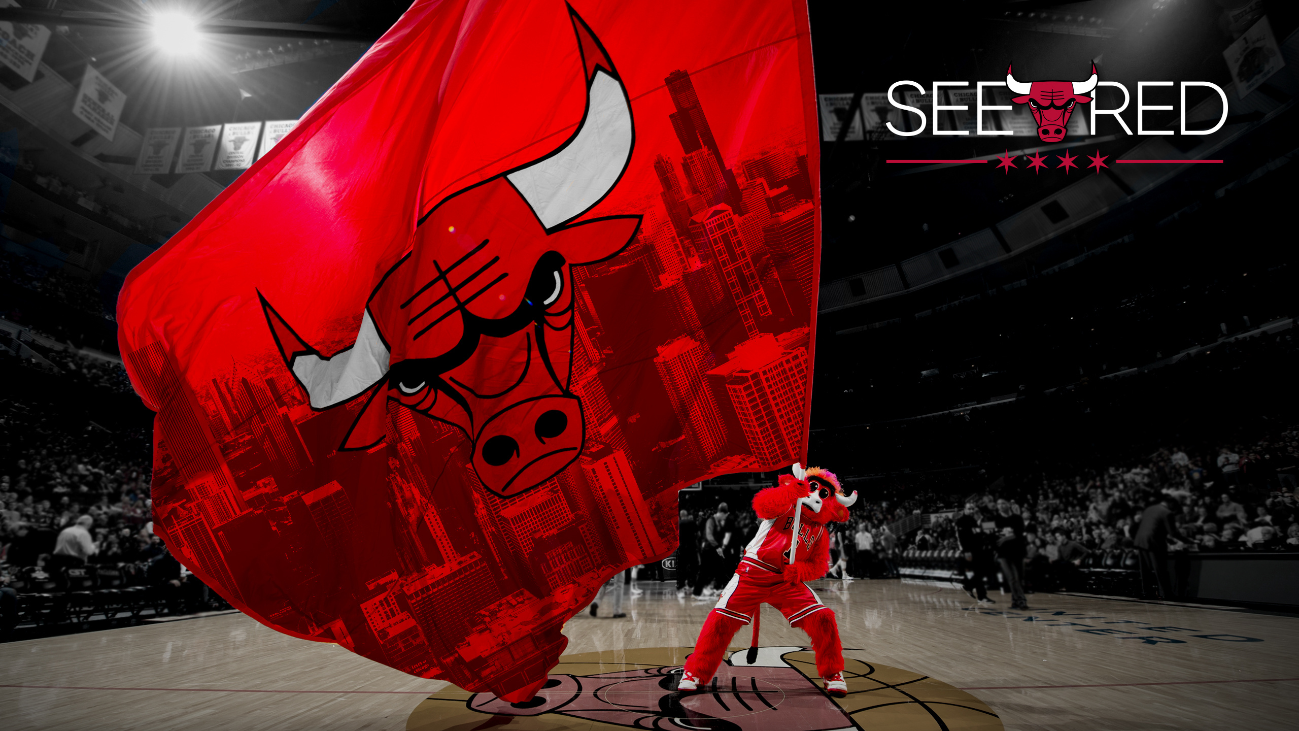 Chicago Bulls, Sports team, HD wallpaper, Background image, 2560x1440 HD Desktop