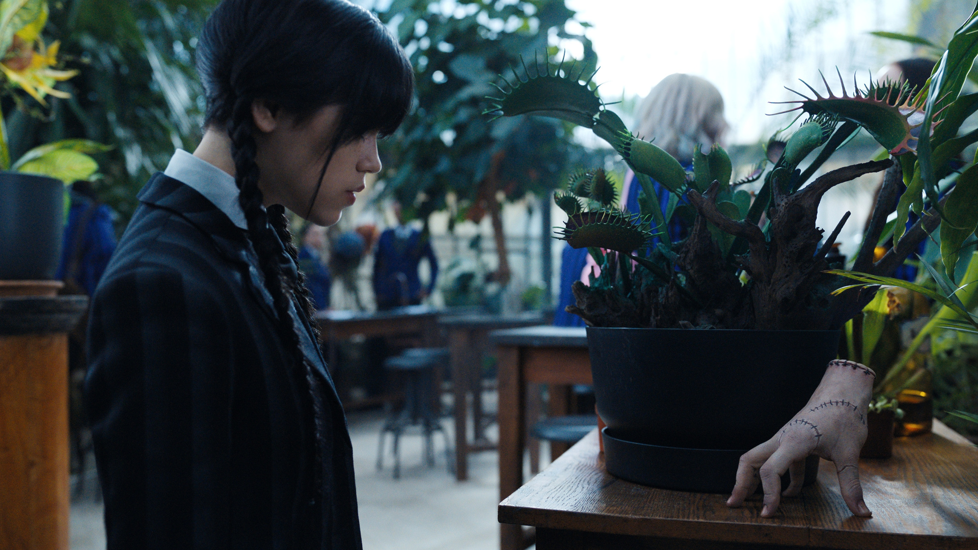 Wednesday Addams, Thing, Venus flytrap, Full HD Desktop wallpaper