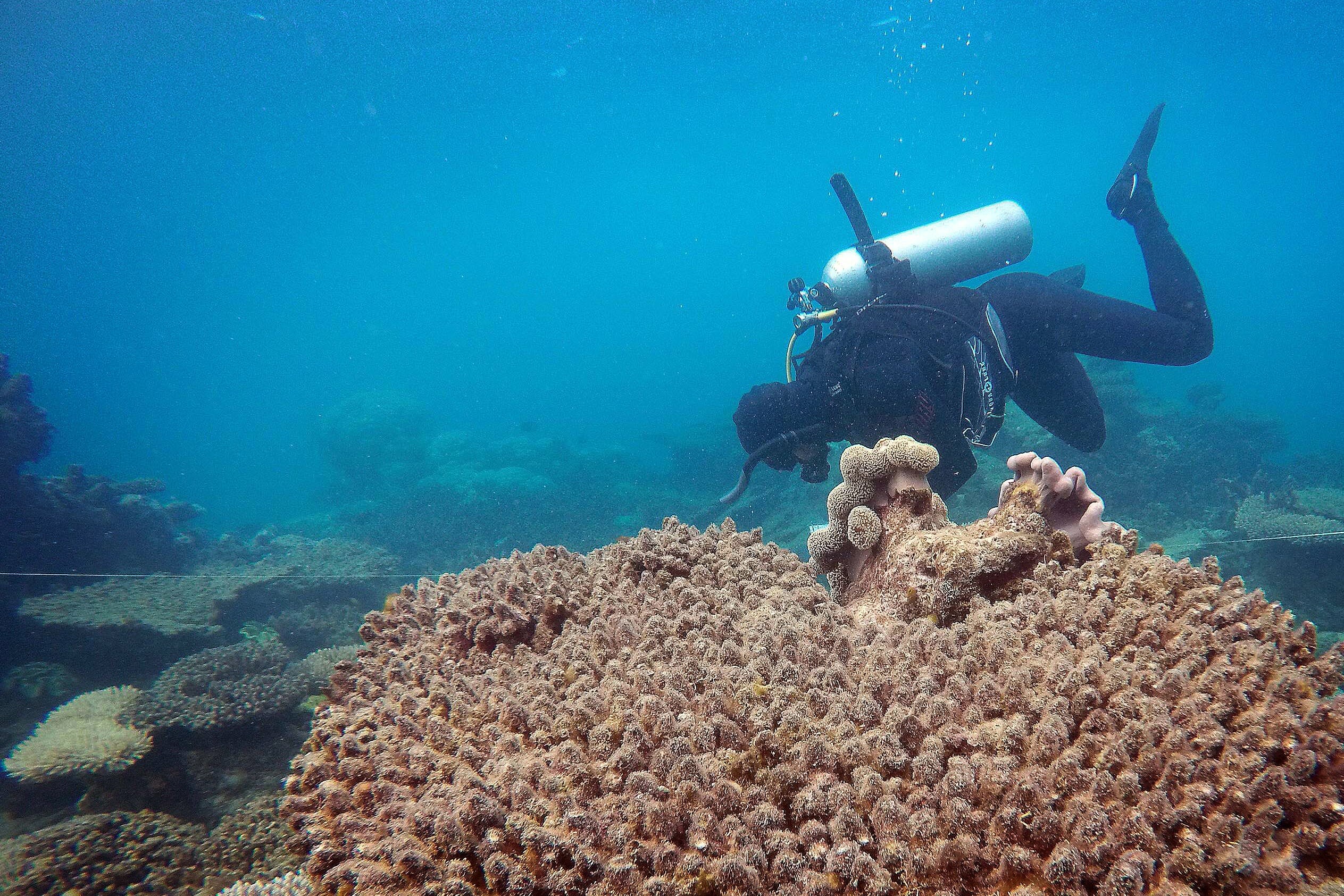 Great Barrier Reef, Devastation on 700 kilometers, Environmental impact, Conservation challenges, 2530x1690 HD Desktop